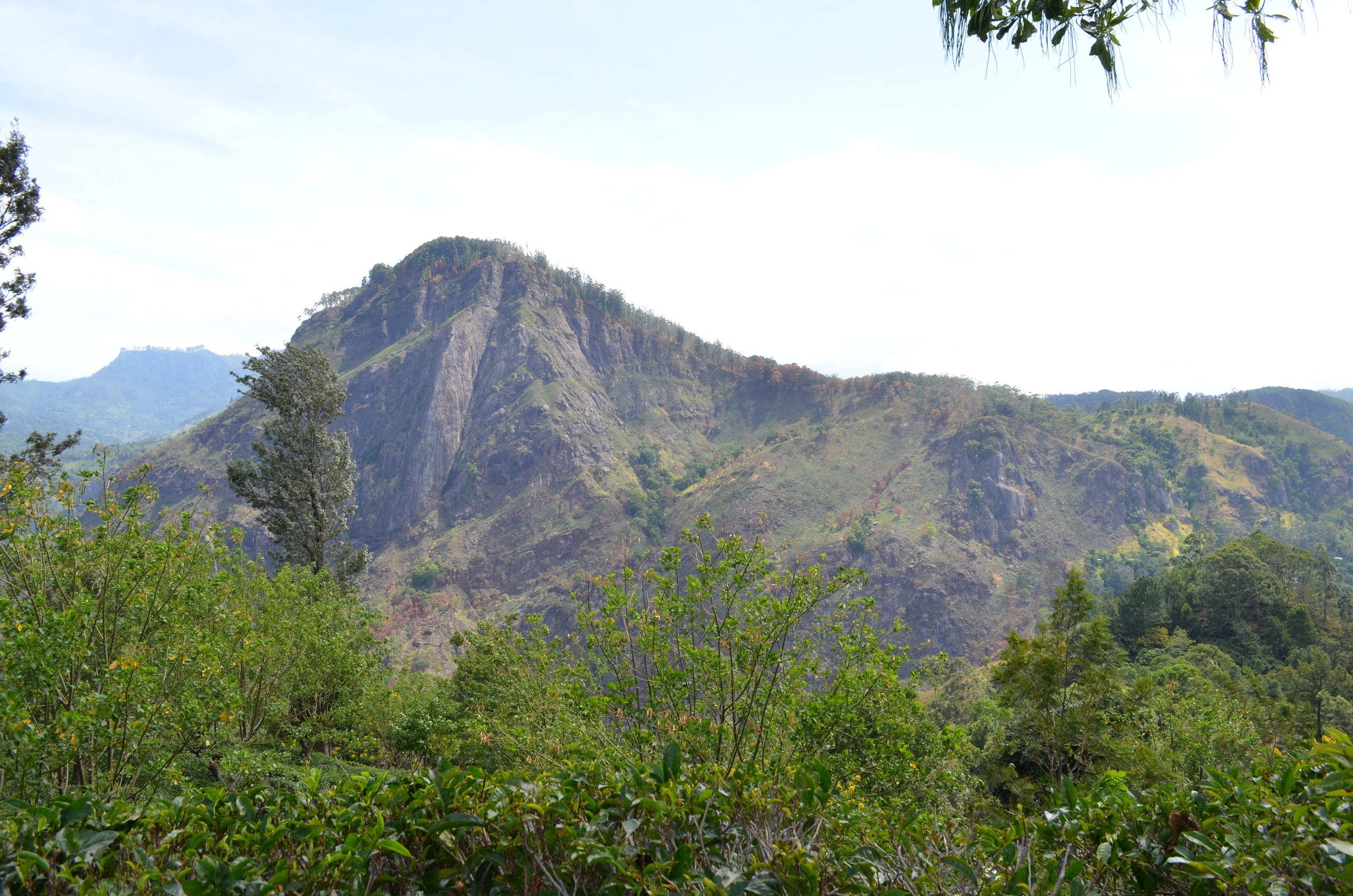 Шри-Ланка — Мальдивы. Mannequins, design, decoration, handmade, photographe…