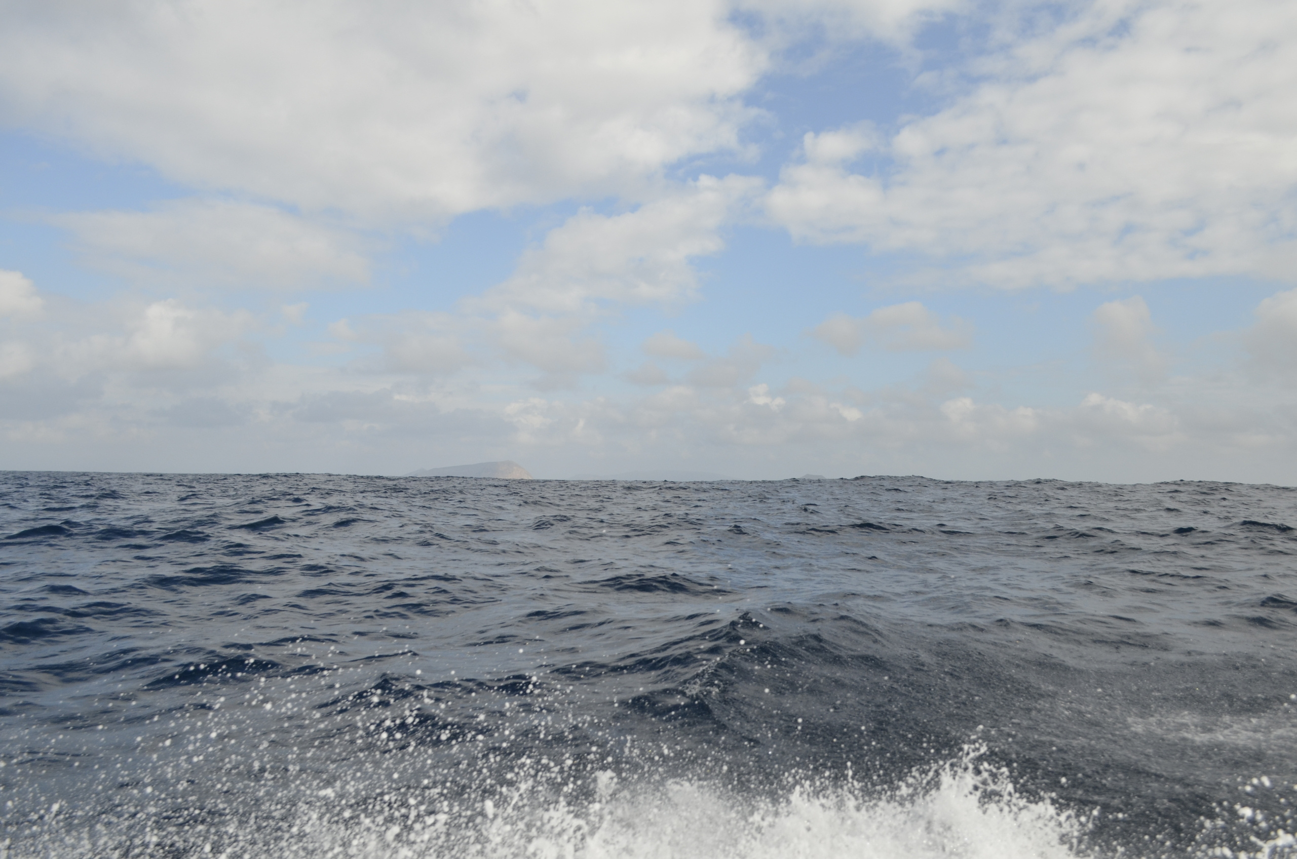 Galapagos 2017, Отчёт о путешествии на Галапагосские острова. Милок и Кирок это позитивные и реальные персоны из Люксембурга, много