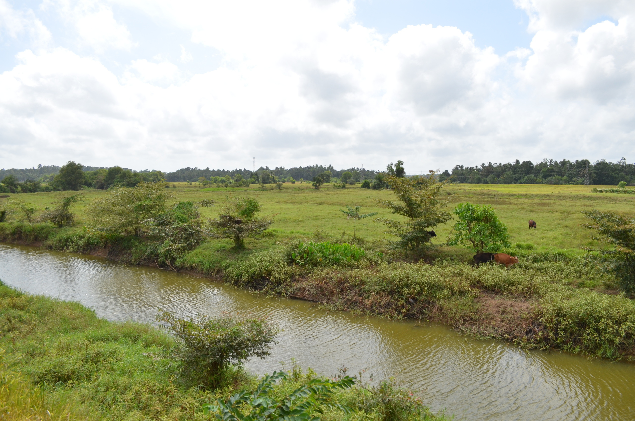 Шри-Ланка — Мальдивы. Mannequins, design, decoration, handmade, photographe…