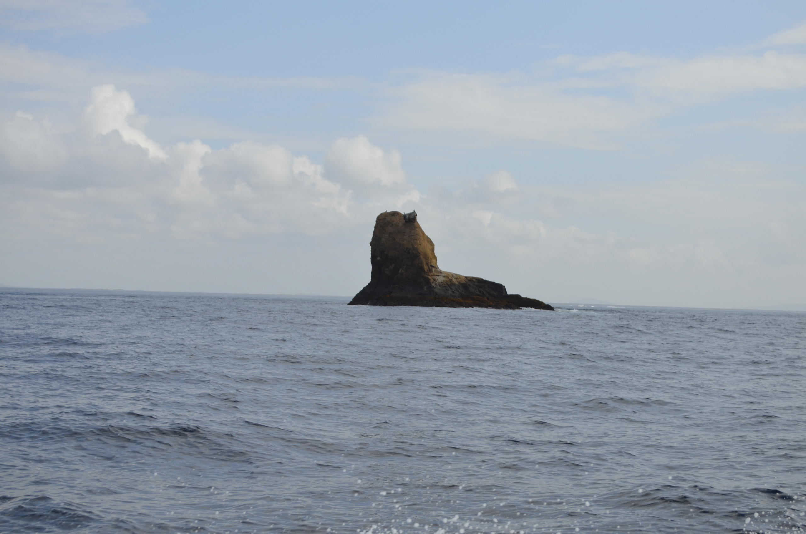 Galapagos 2017, Отчёт о путешествии на Галапагосские острова. Милок и Кирок это позитивные и реальные персоны из Люксембурга, много