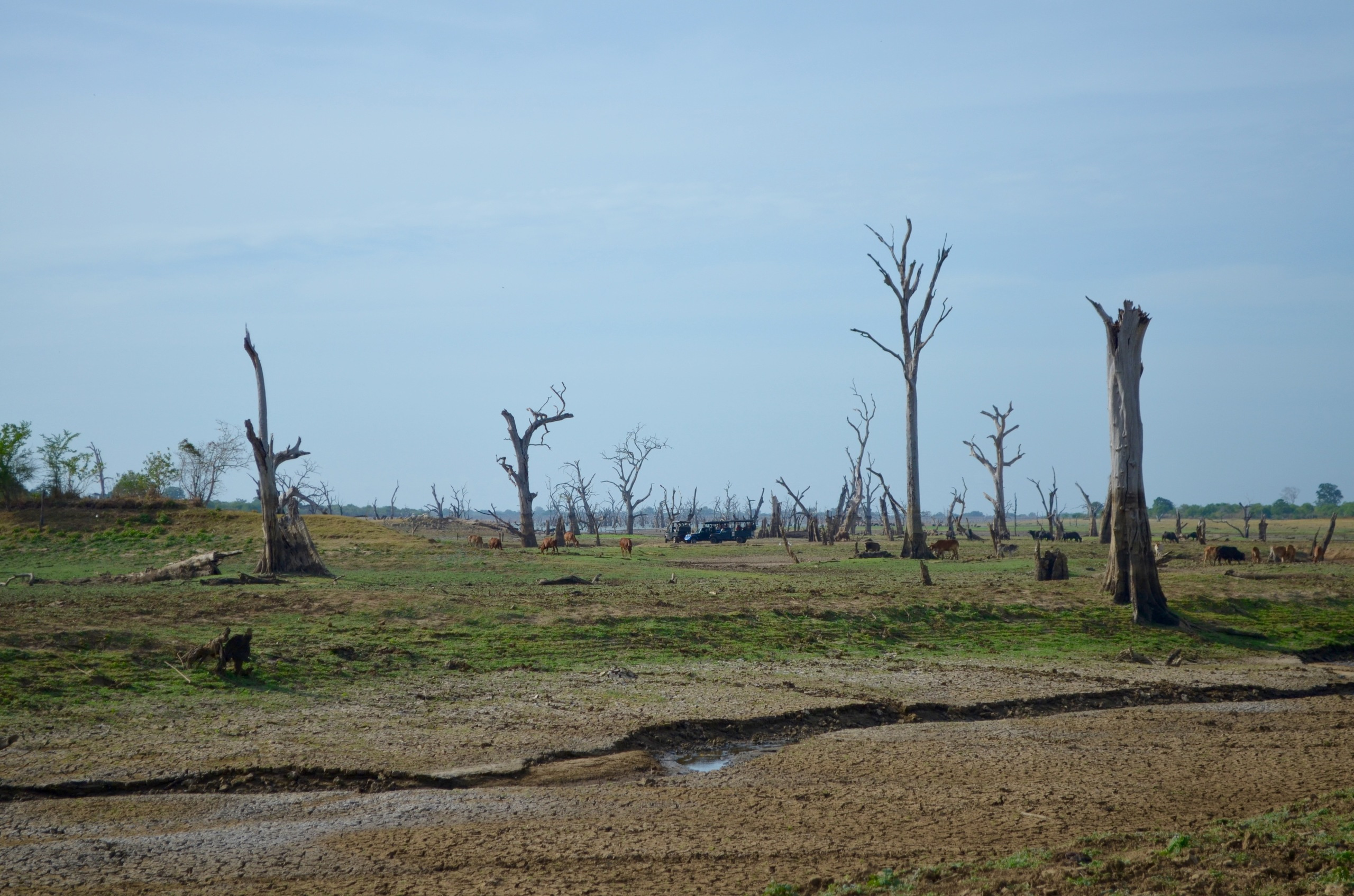 Шри-Ланка — Мальдивы. Mannequins, design, decoration, handmade, photographe…