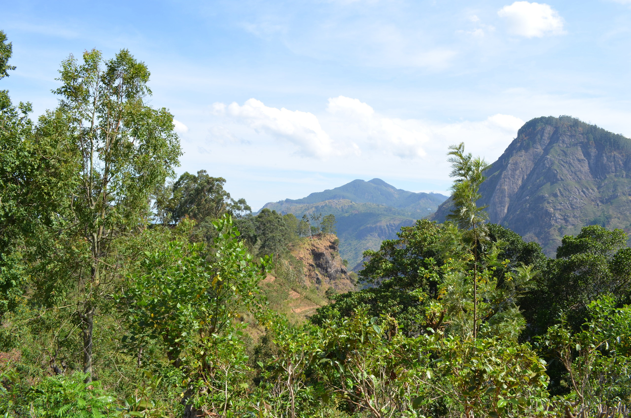 Шри-Ланка — Мальдивы. Mannequins, design, decoration, handmade, photographe…