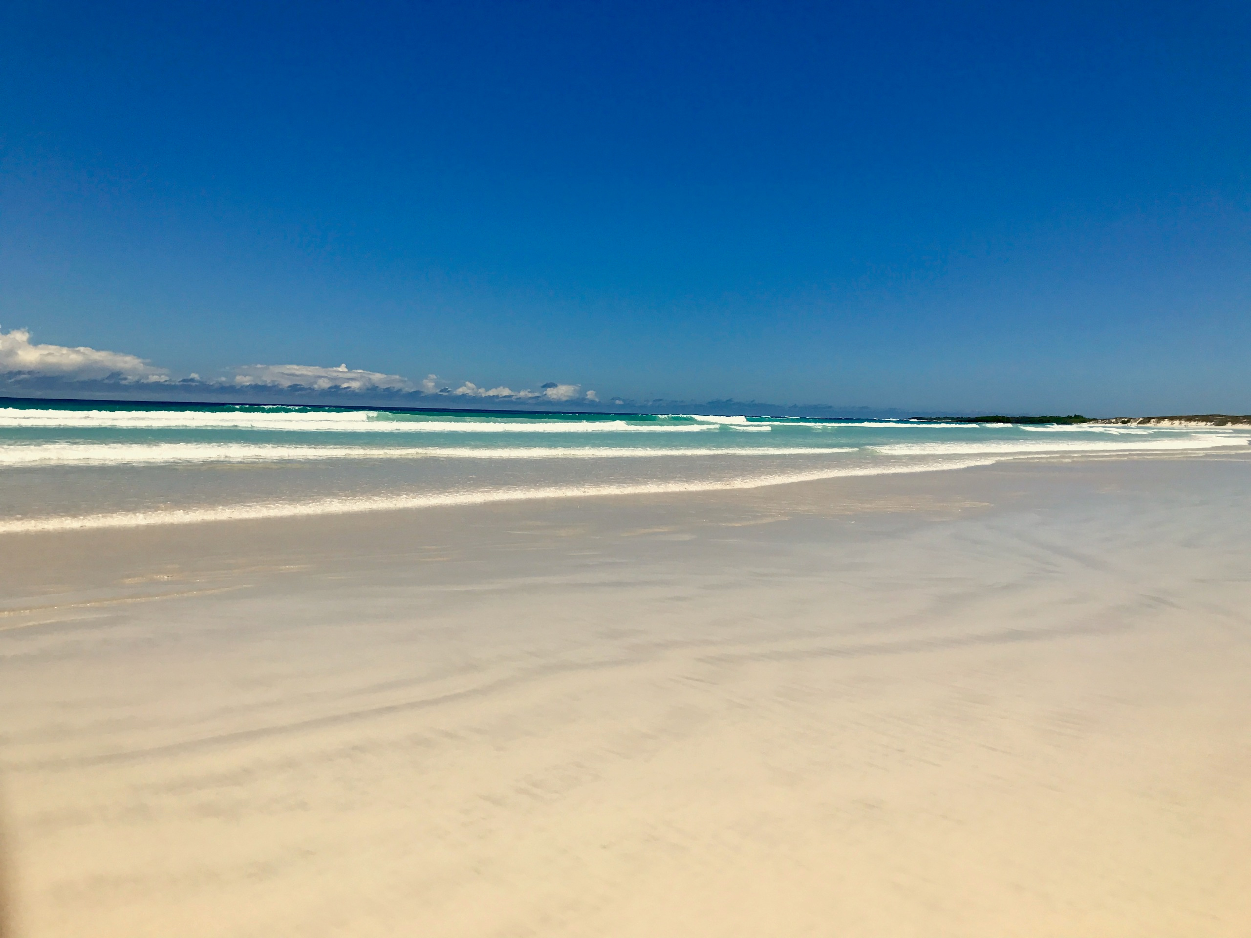 Galapagos 2017, Отчёт о путешествии на Галапагосские острова. Милок и Кирок это позитивные и реальные персоны из Люксембурга, много