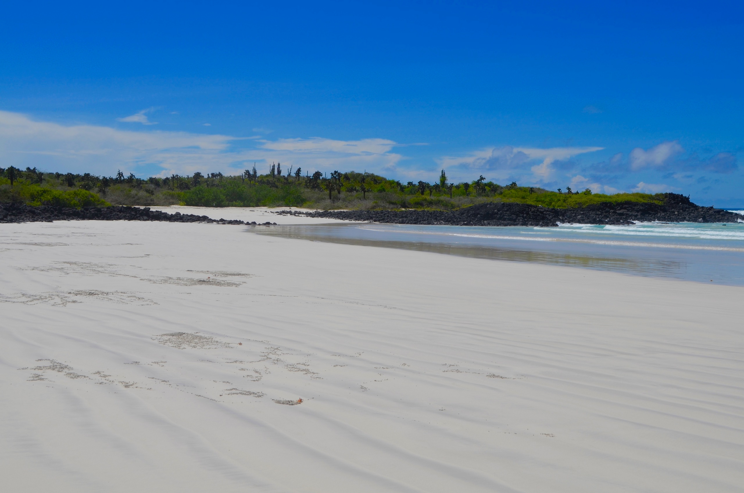 Galapagos 2017, Отчёт о путешествии на Галапагосские острова. Милок и Кирок это позитивные и реальные персоны из Люксембурга, много
