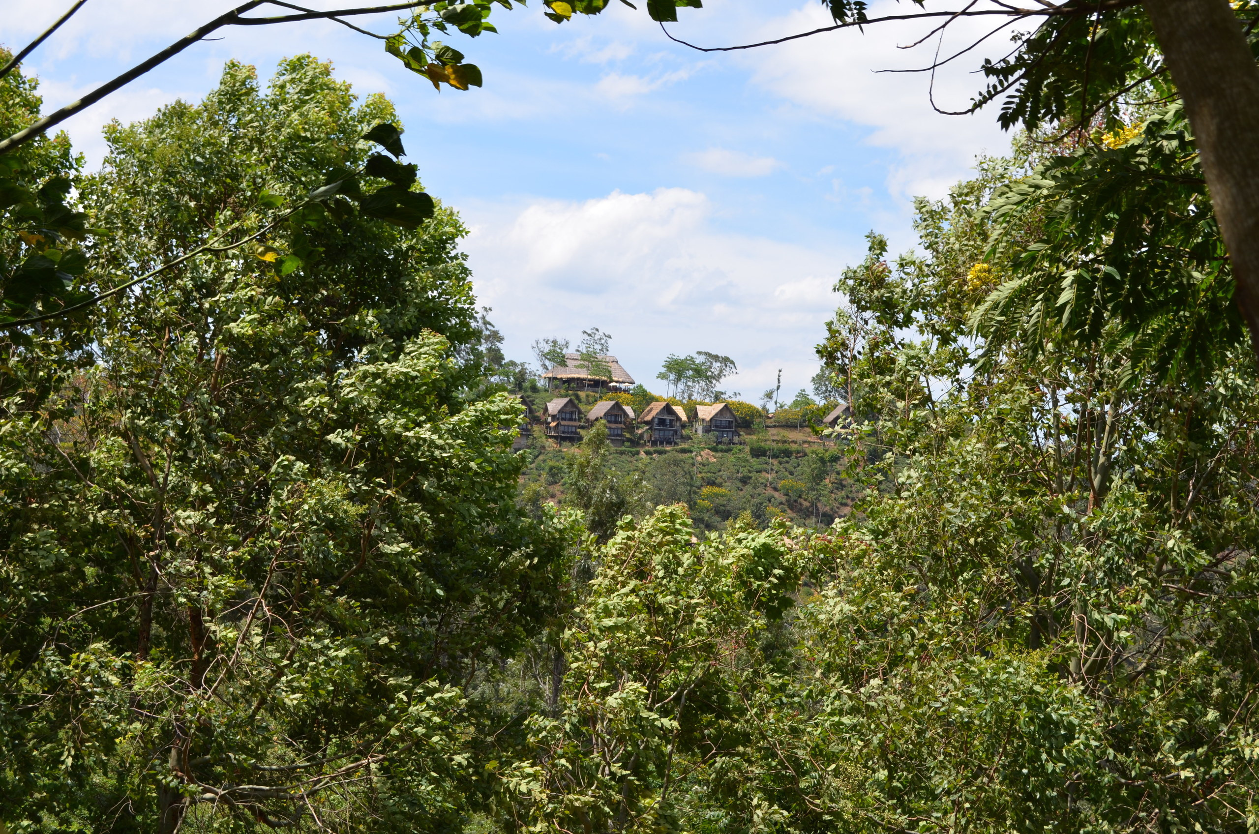 Шри-Ланка — Мальдивы. Mannequins, design, decoration, handmade, photographe…