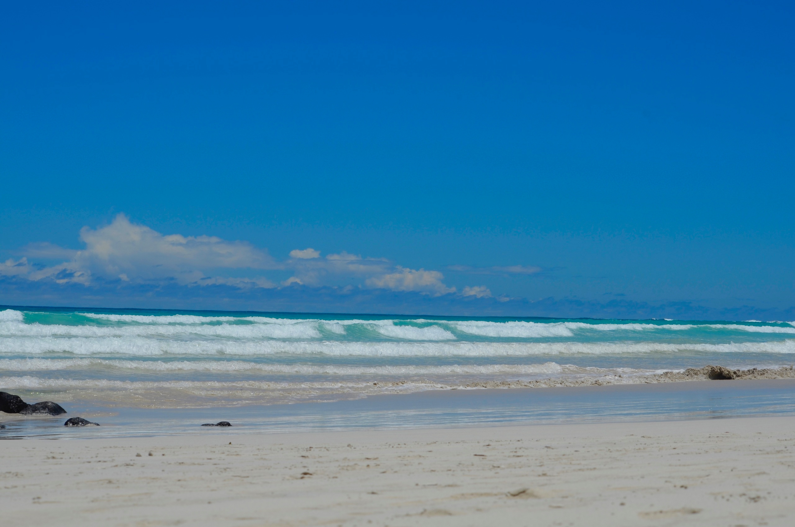 Galapagos 2017, Отчёт о путешествии на Галапагосские острова. Милок и Кирок это позитивные и реальные персоны из Люксембурга, много