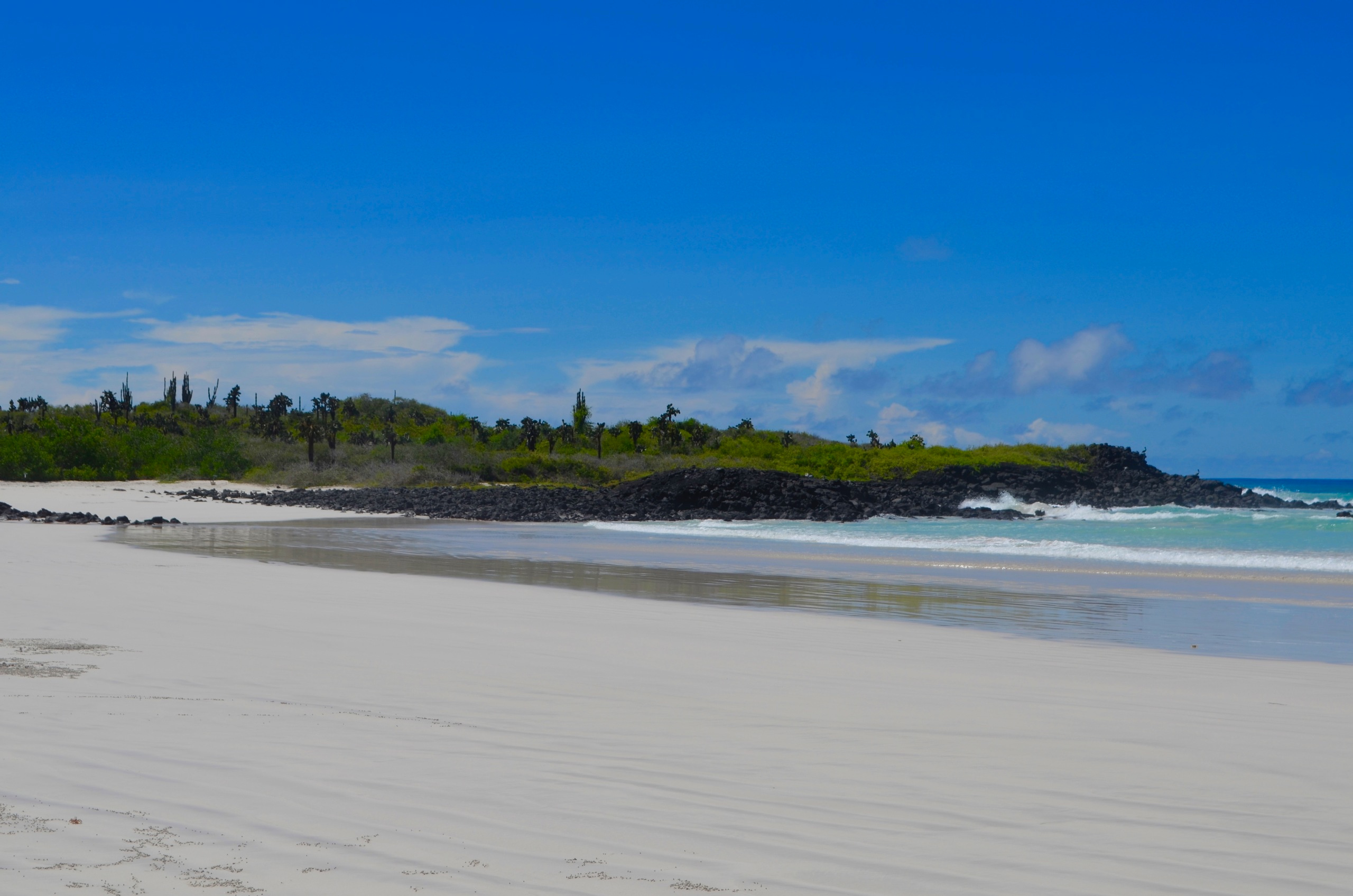 Galapagos 2017, Отчёт о путешествии на Галапагосские острова. Милок и Кирок это позитивные и реальные персоны из Люксембурга, много