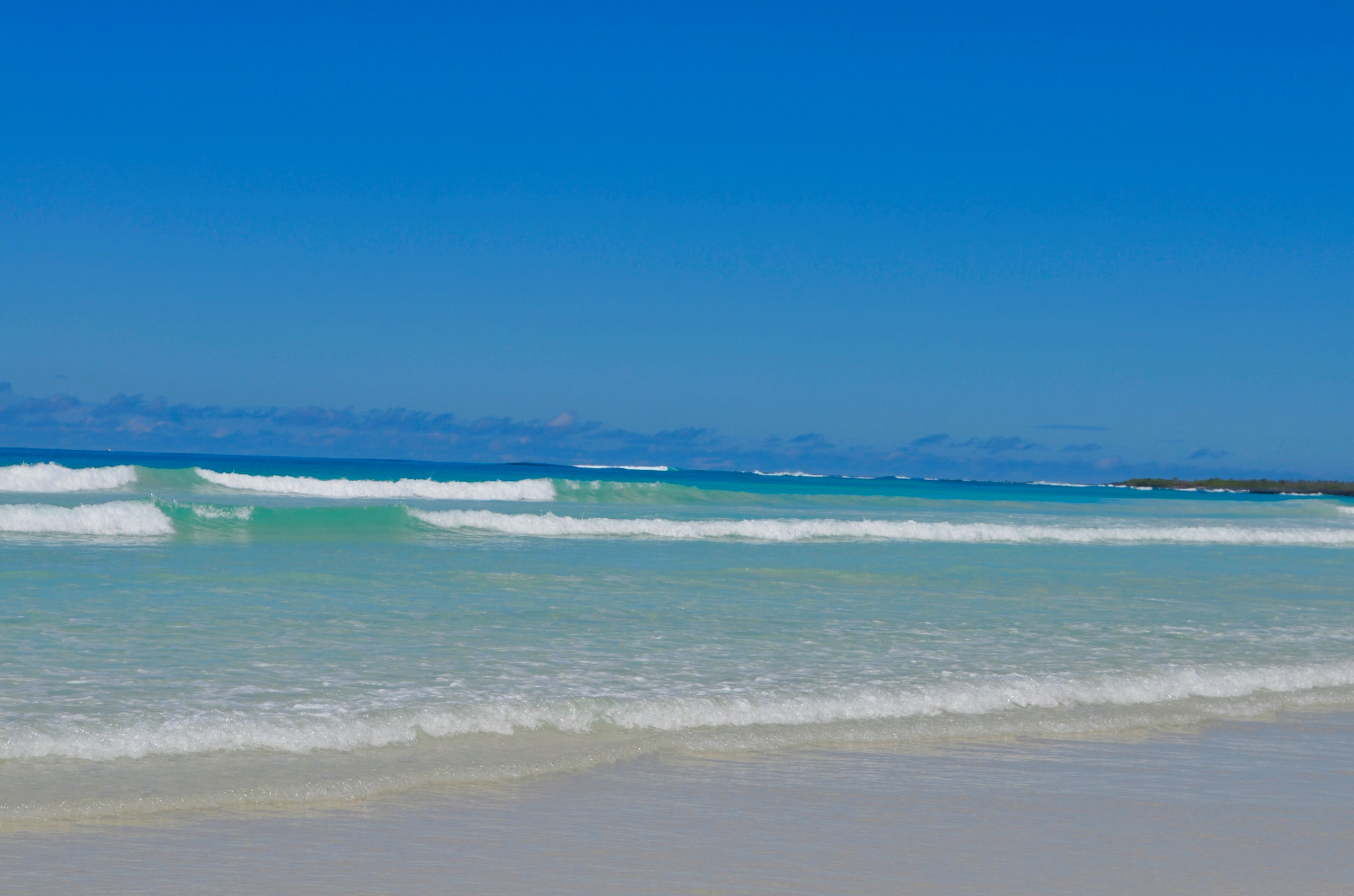 Galapagos 2017, Отчёт о путешествии на Галапагосские острова. Милок и Кирок это позитивные и реальные персоны из Люксембурга, много