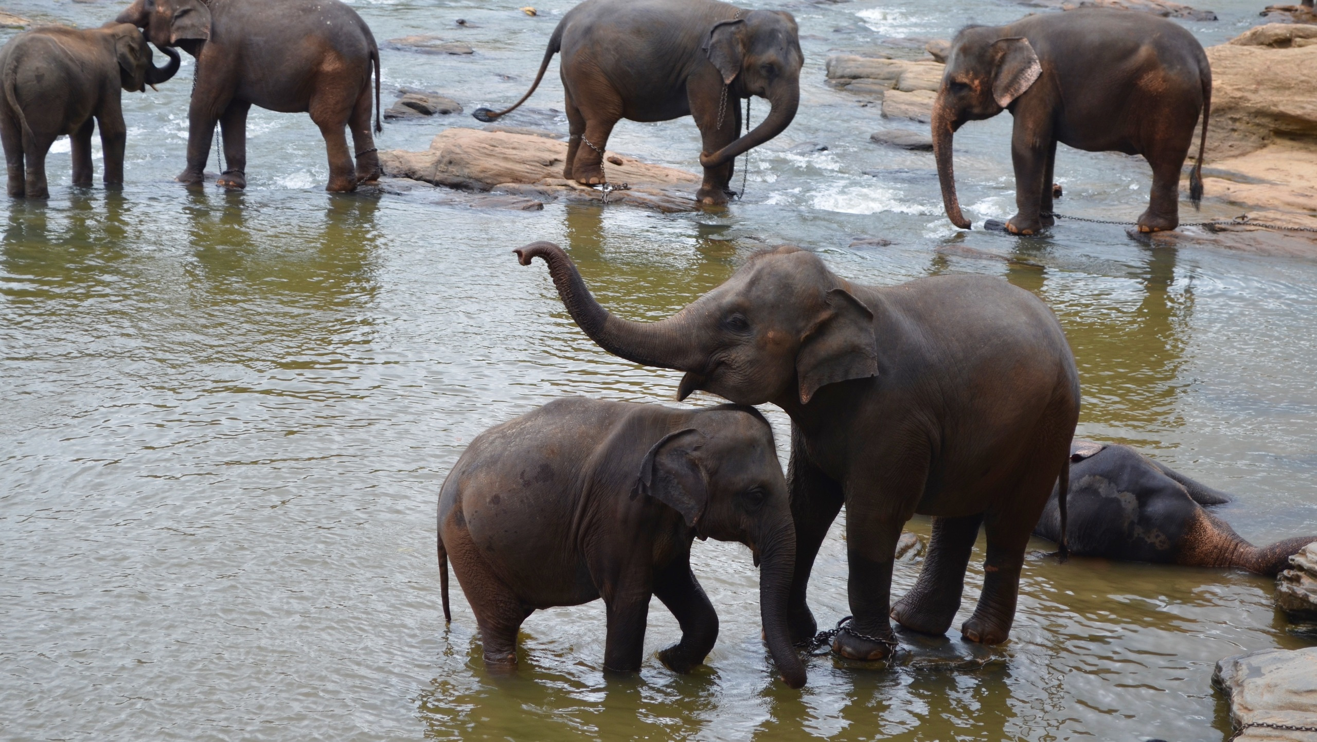 Шри-Ланка — Мальдивы. Mannequins, design, decoration, handmade, photographe…