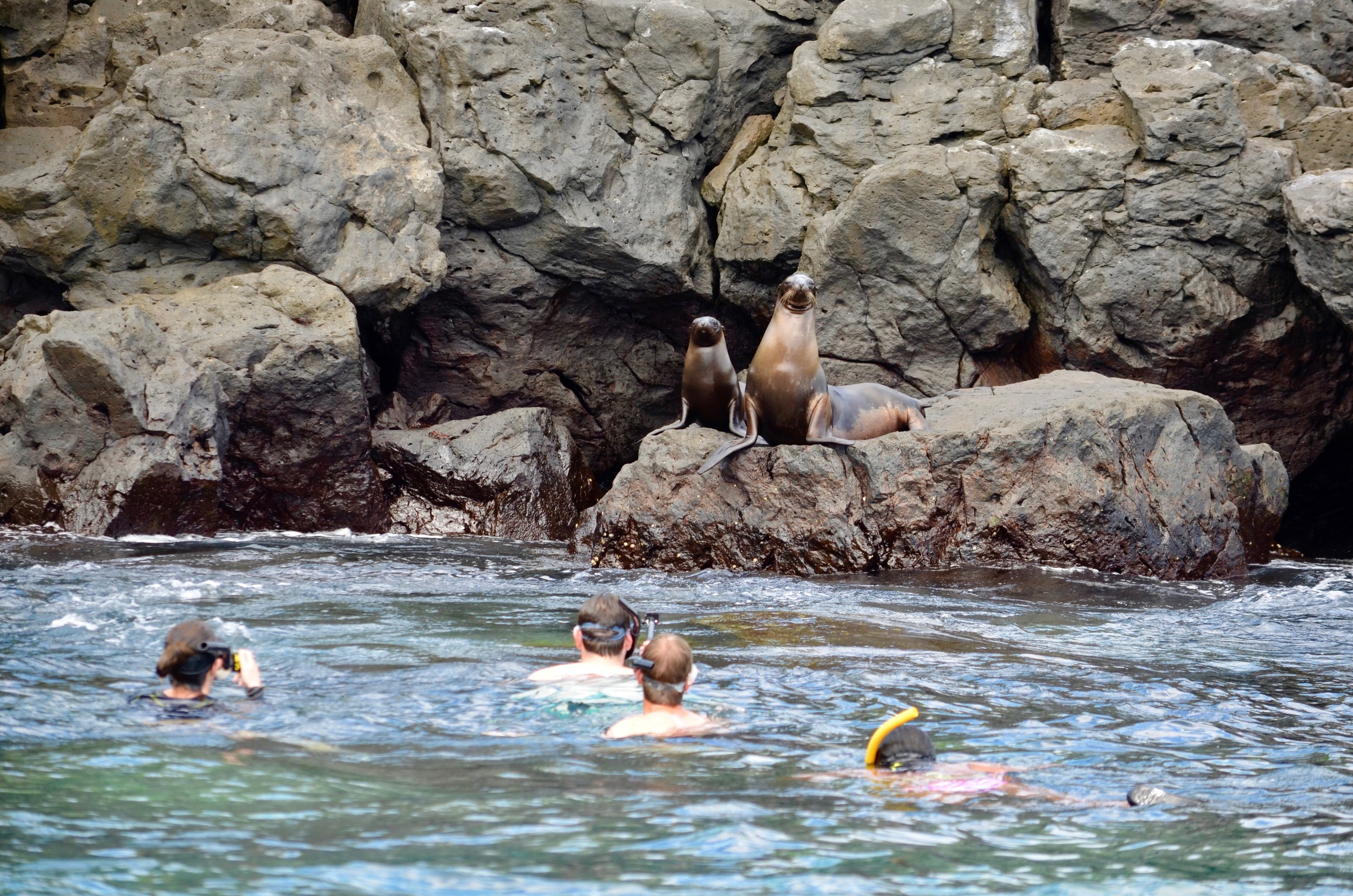 Galapagos 2017, Отчёт о путешествии на Галапагосские острова. Милок и Кирок это позитивные и реальные персоны из Люксембурга, много