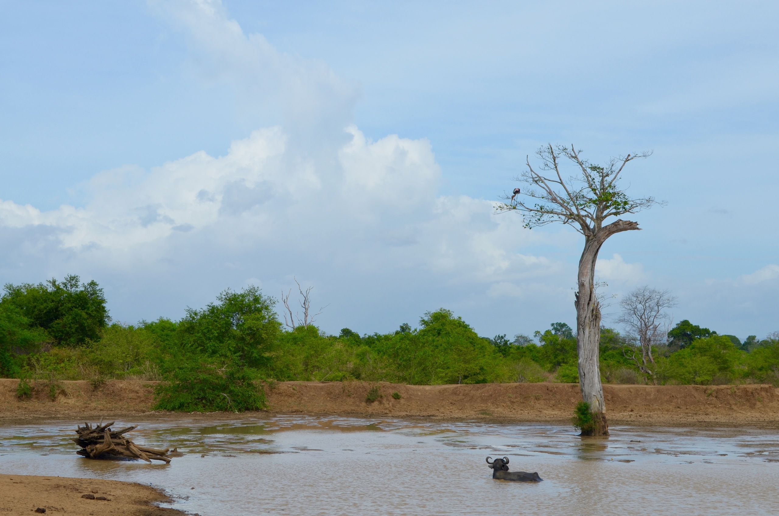 Шри-Ланка — Мальдивы. Mannequins, design, decoration, handmade, photographe…