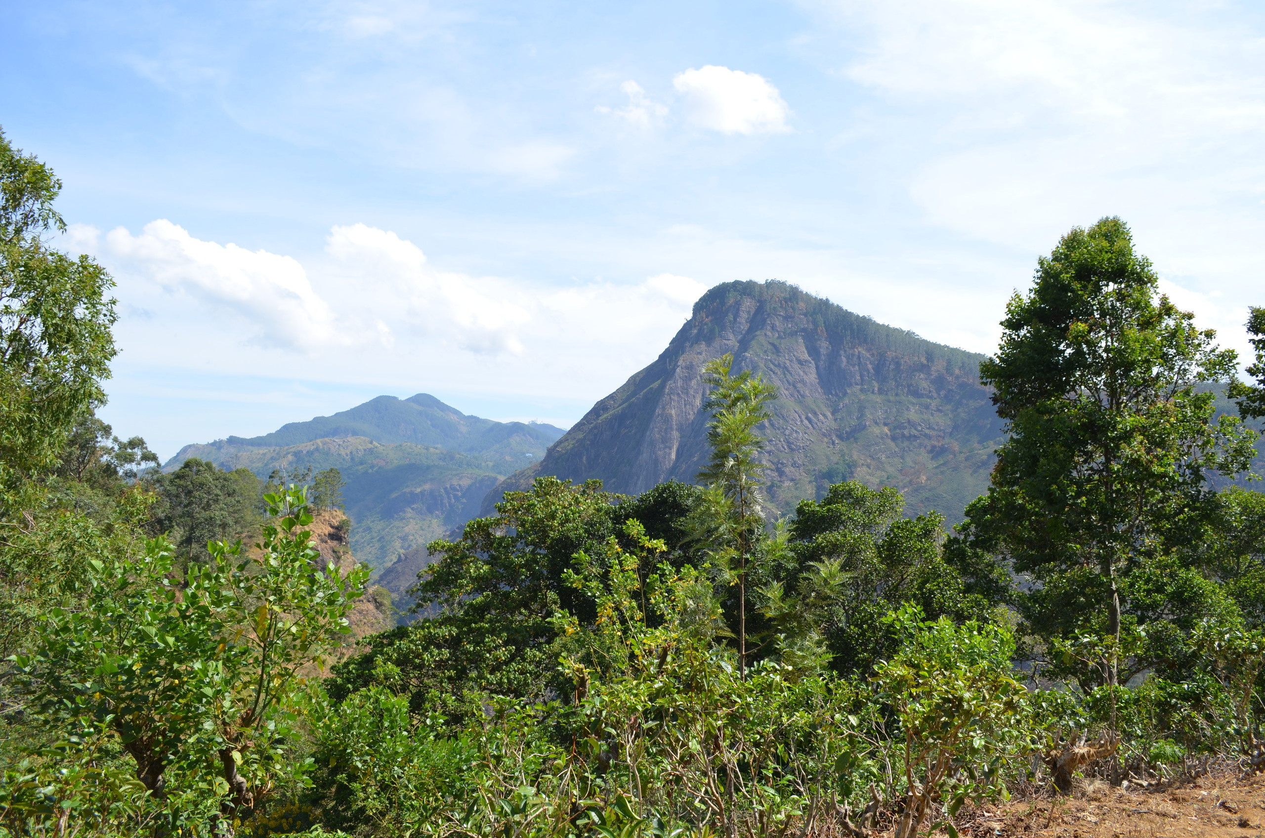 Шри-Ланка — Мальдивы. Mannequins, design, decoration, handmade, photographe…