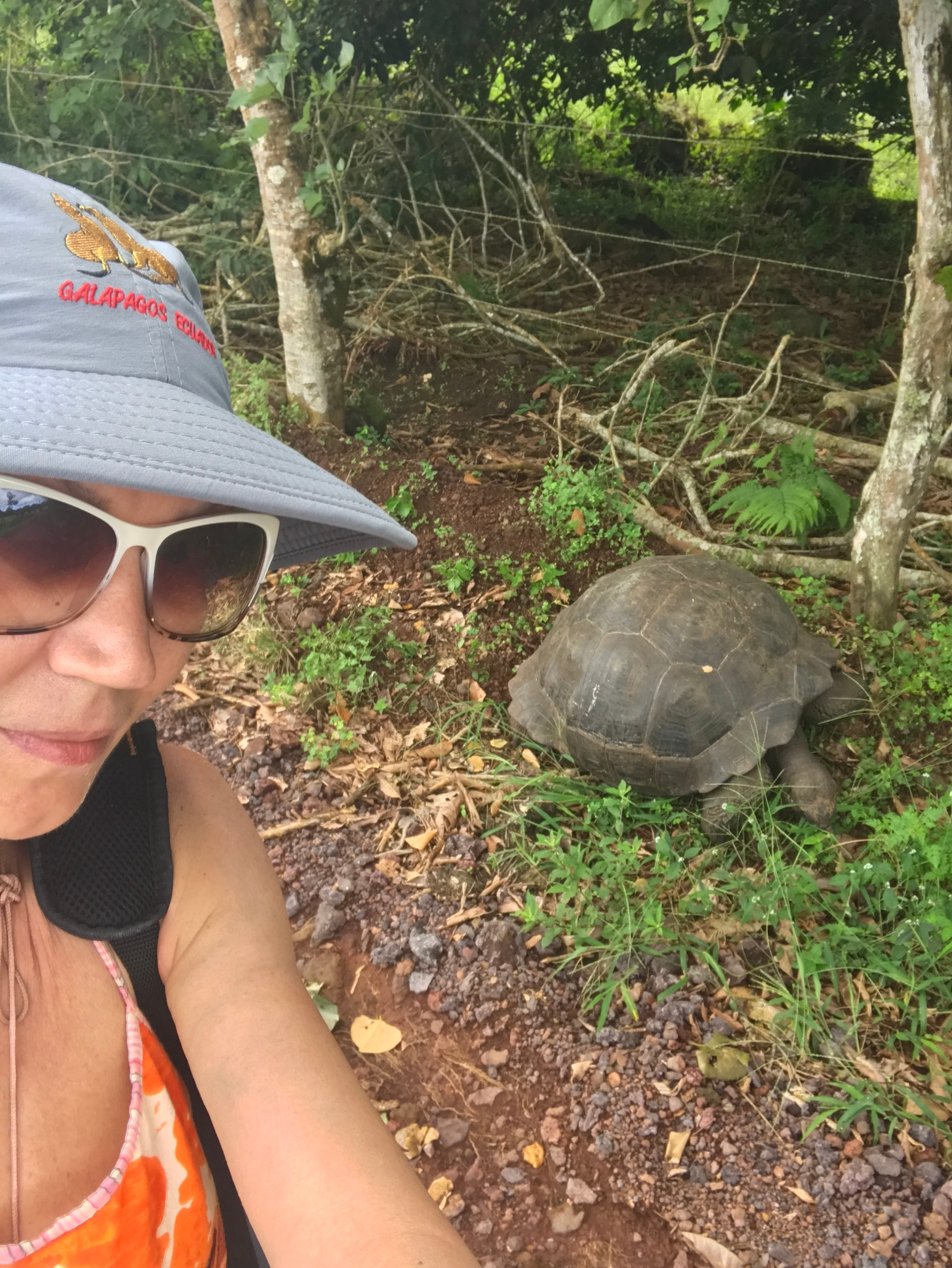 Galapagos 2017, Отчёт о путешествии на Галапагосские острова. Милок и Кирок это позитивные и реальные персоны из Люксембурга, много