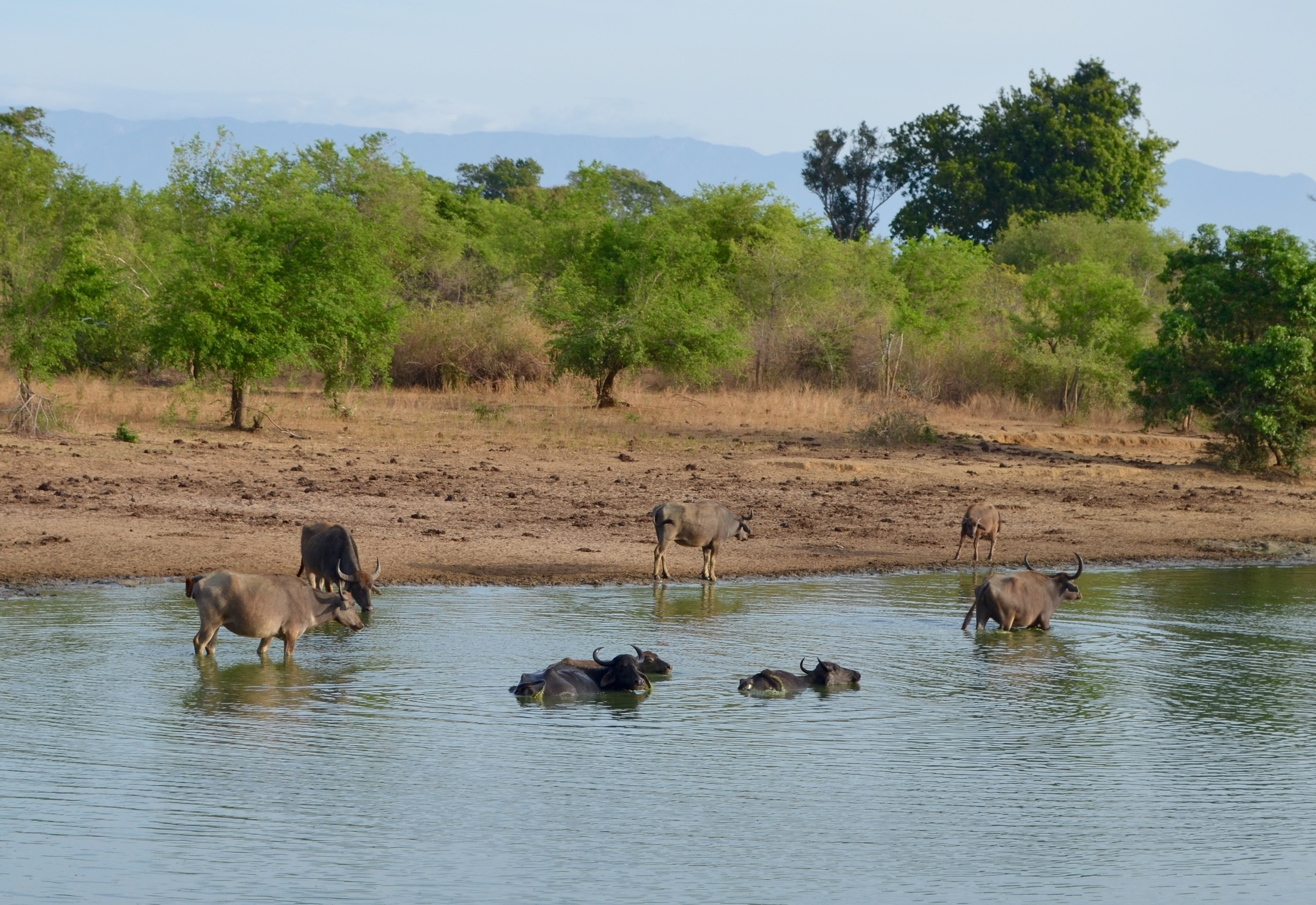 Шри-Ланка — Мальдивы. Mannequins, design, decoration, handmade, photographe…