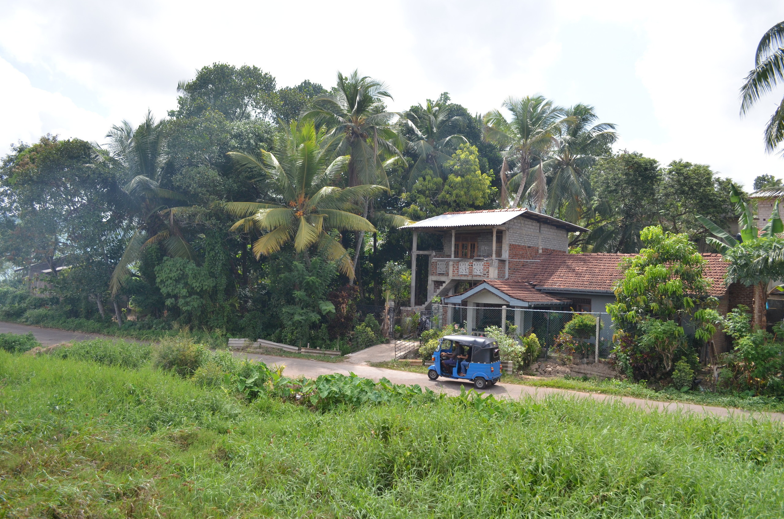 Шри-Ланка — Мальдивы. Mannequins, design, decoration, handmade, photographe…