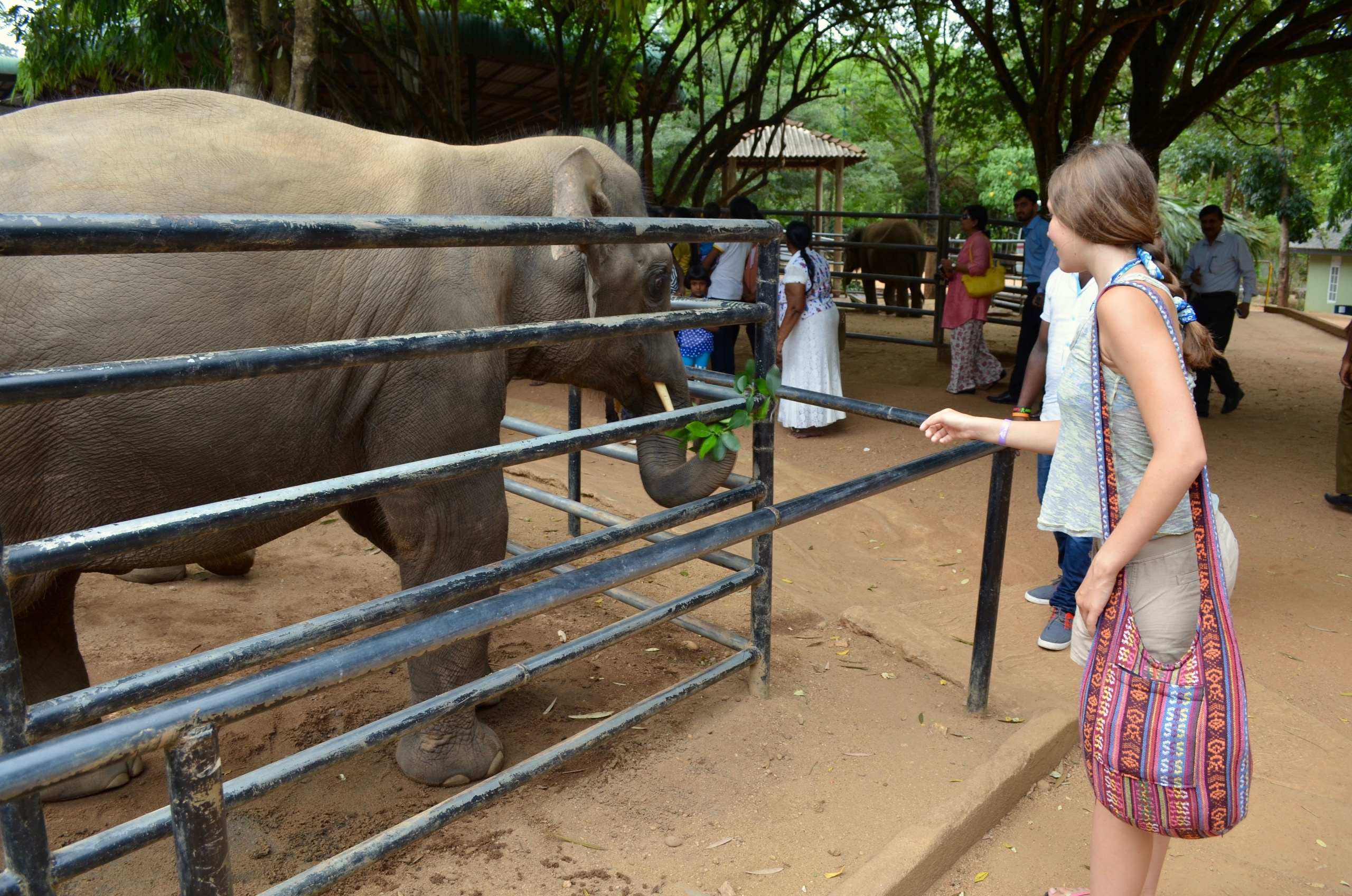 Шри-Ланка — Мальдивы. Mannequins, design, decoration, handmade, photographe…