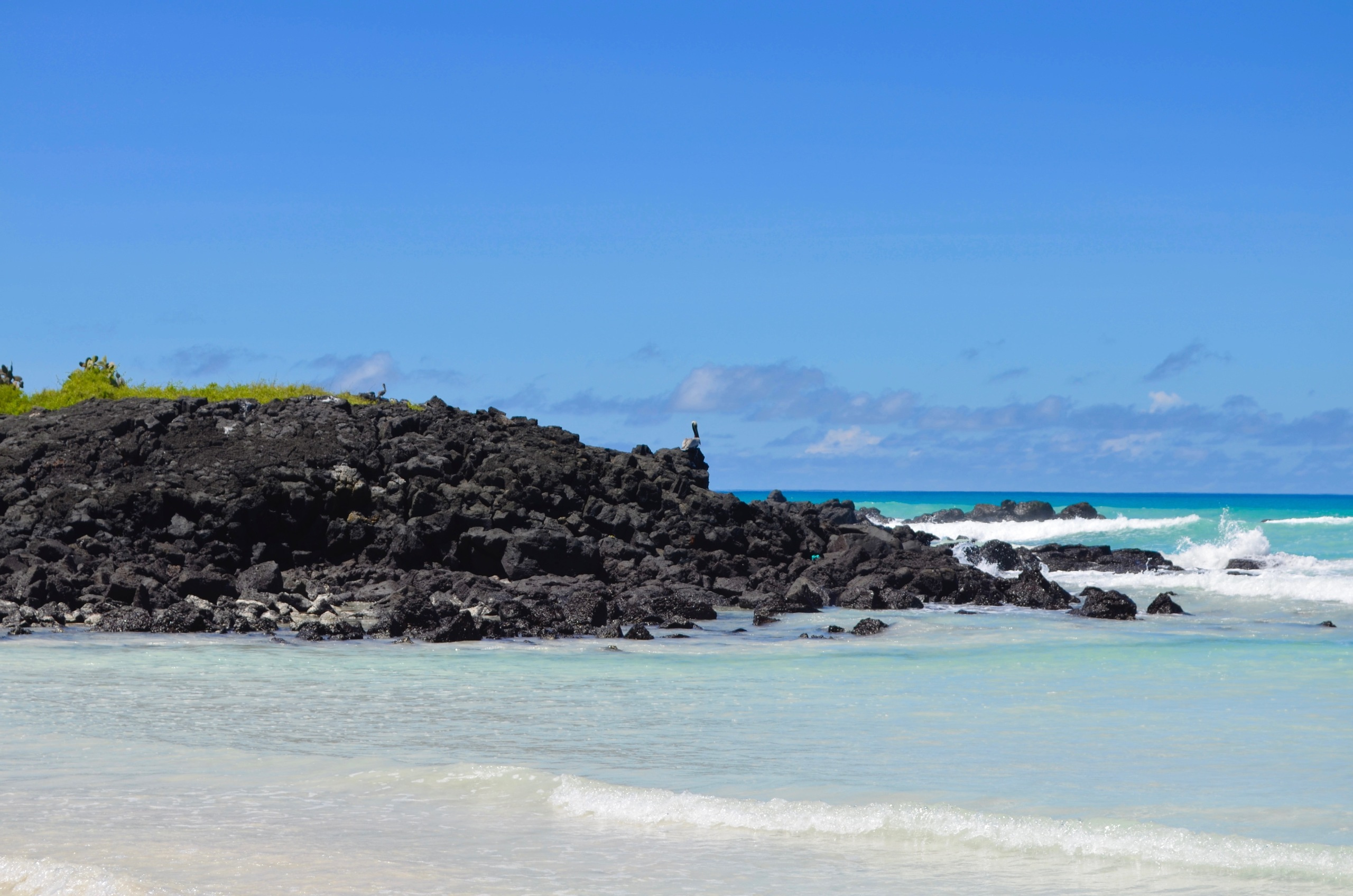 Galapagos 2017, Отчёт о путешествии на Галапагосские острова. Милок и Кирок это позитивные и реальные персоны из Люксембурга, много