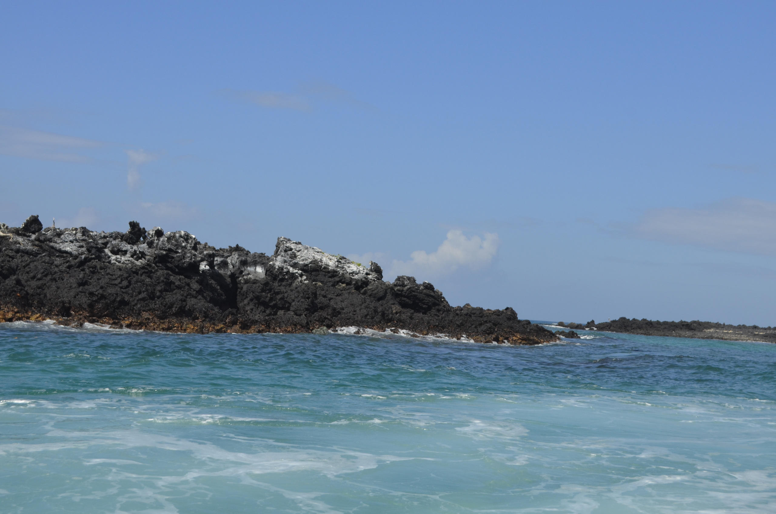 Galapagos 2017, Отчёт о путешествии на Галапагосские острова. Милок и Кирок это позитивные и реальные персоны из Люксембурга, много