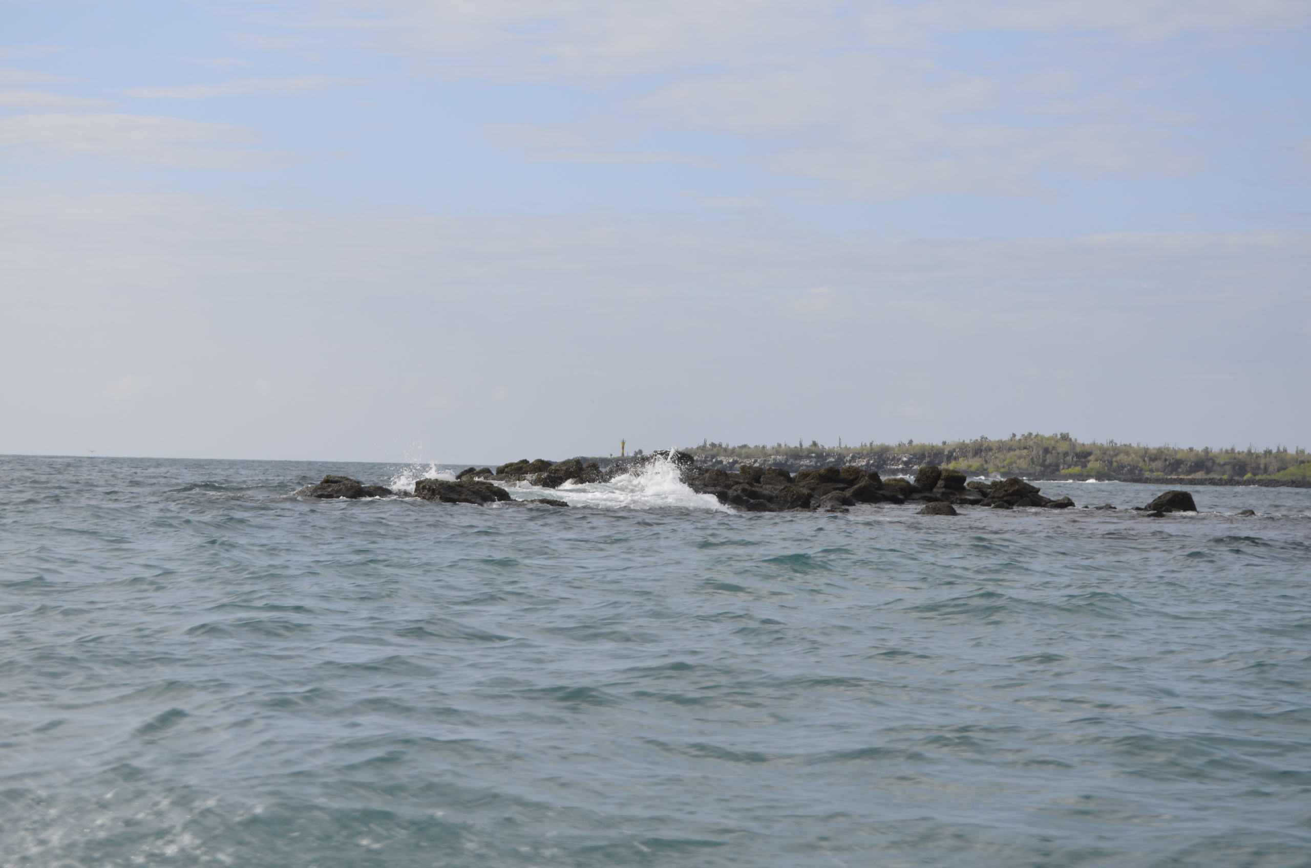 Galapagos 2017, Отчёт о путешествии на Галапагосские острова. Милок и Кирок это позитивные и реальные персоны из Люксембурга, много