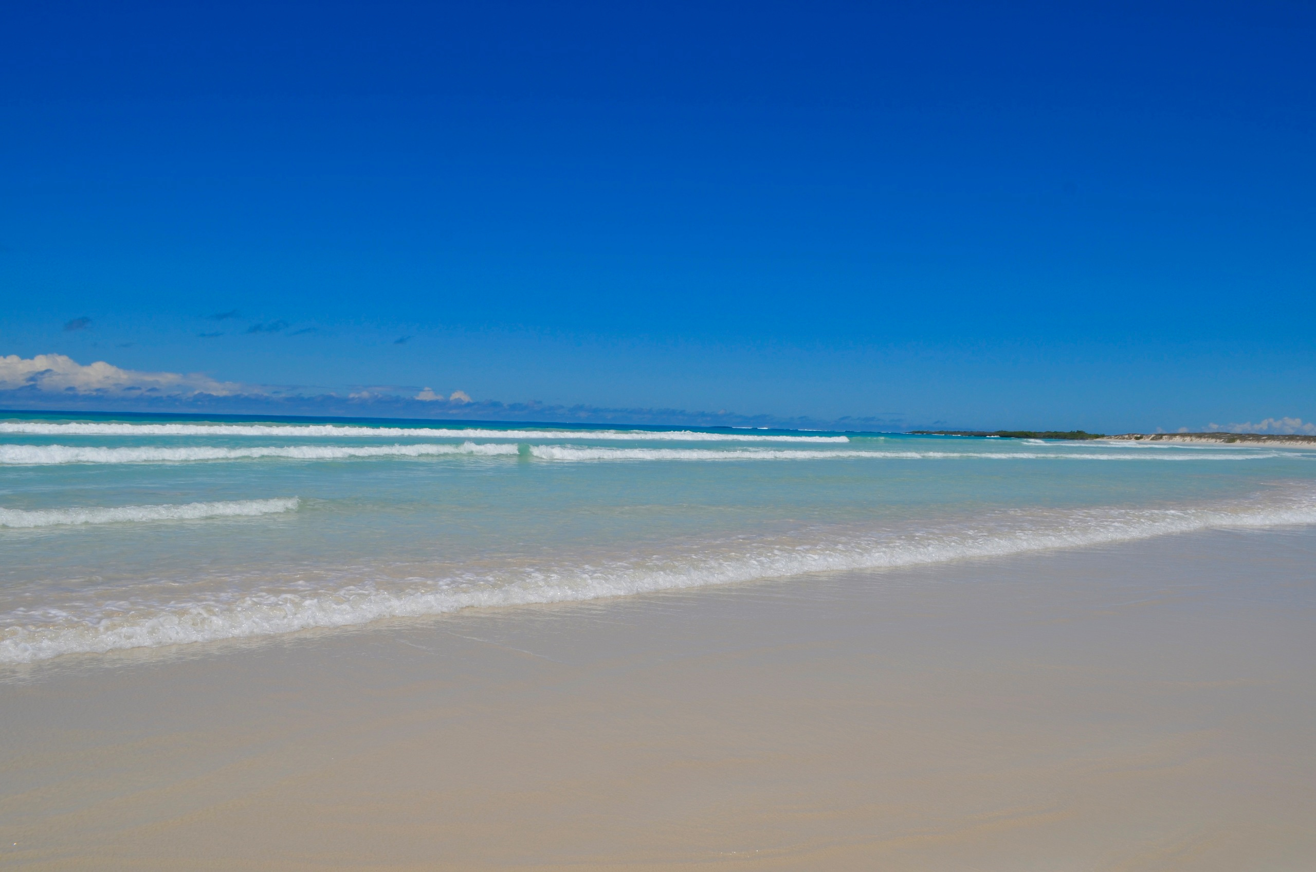 Galapagos 2017, Отчёт о путешествии на Галапагосские острова. Милок и Кирок это позитивные и реальные персоны из Люксембурга, много