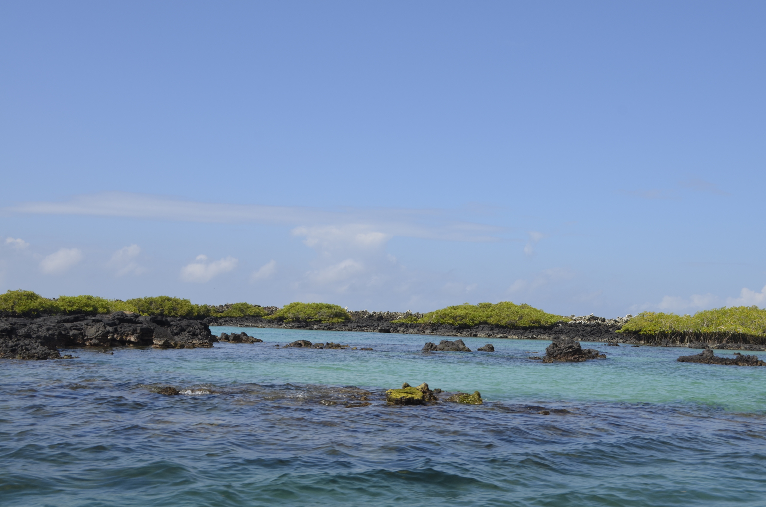 Galapagos 2017, Отчёт о путешествии на Галапагосские острова. Милок и Кирок это позитивные и реальные персоны из Люксембурга, много