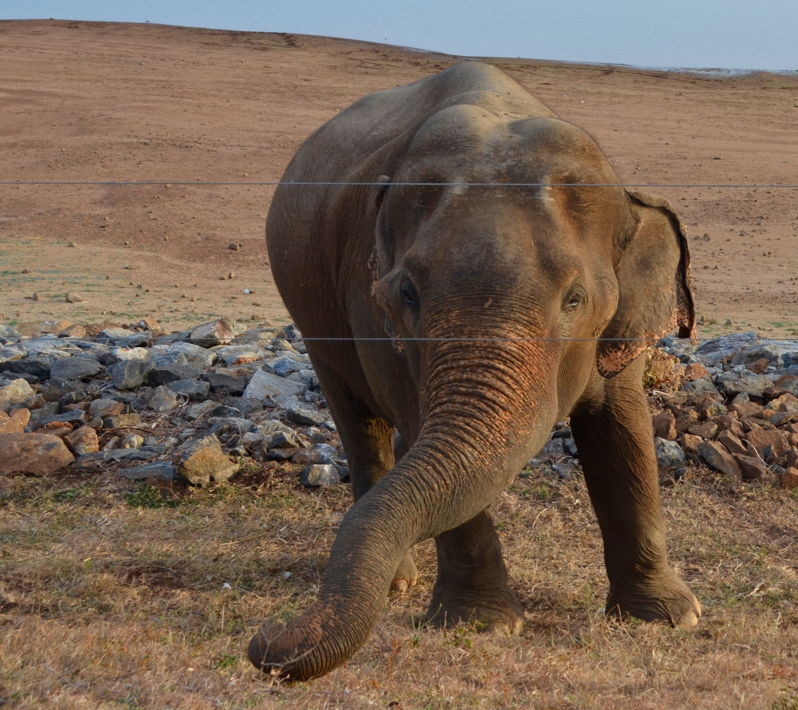 Шри-Ланка — Мальдивы. Mannequins, design, decoration, handmade, photographe…