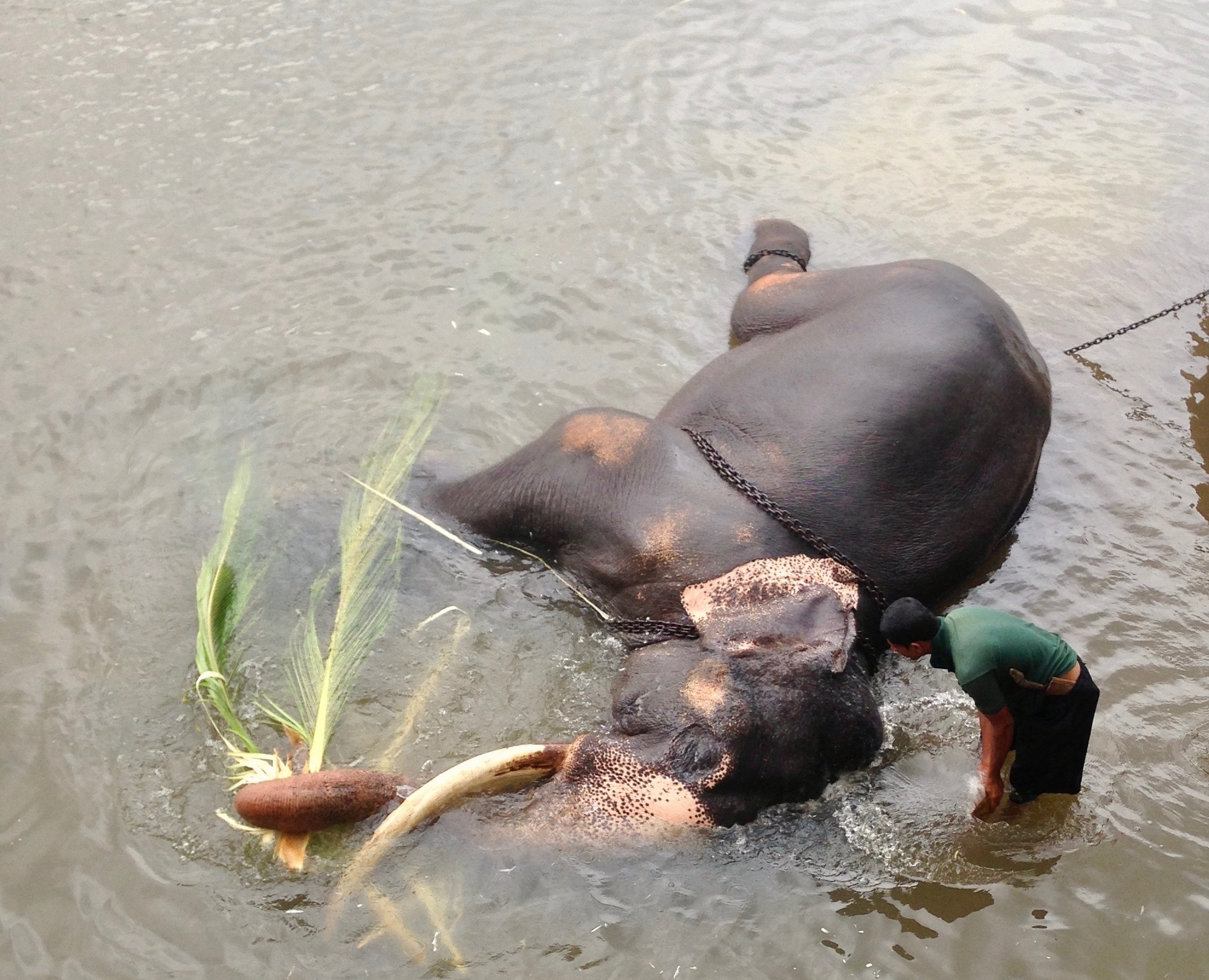 Шри-Ланка — Мальдивы. Mannequins, design, decoration, handmade, photographe…
