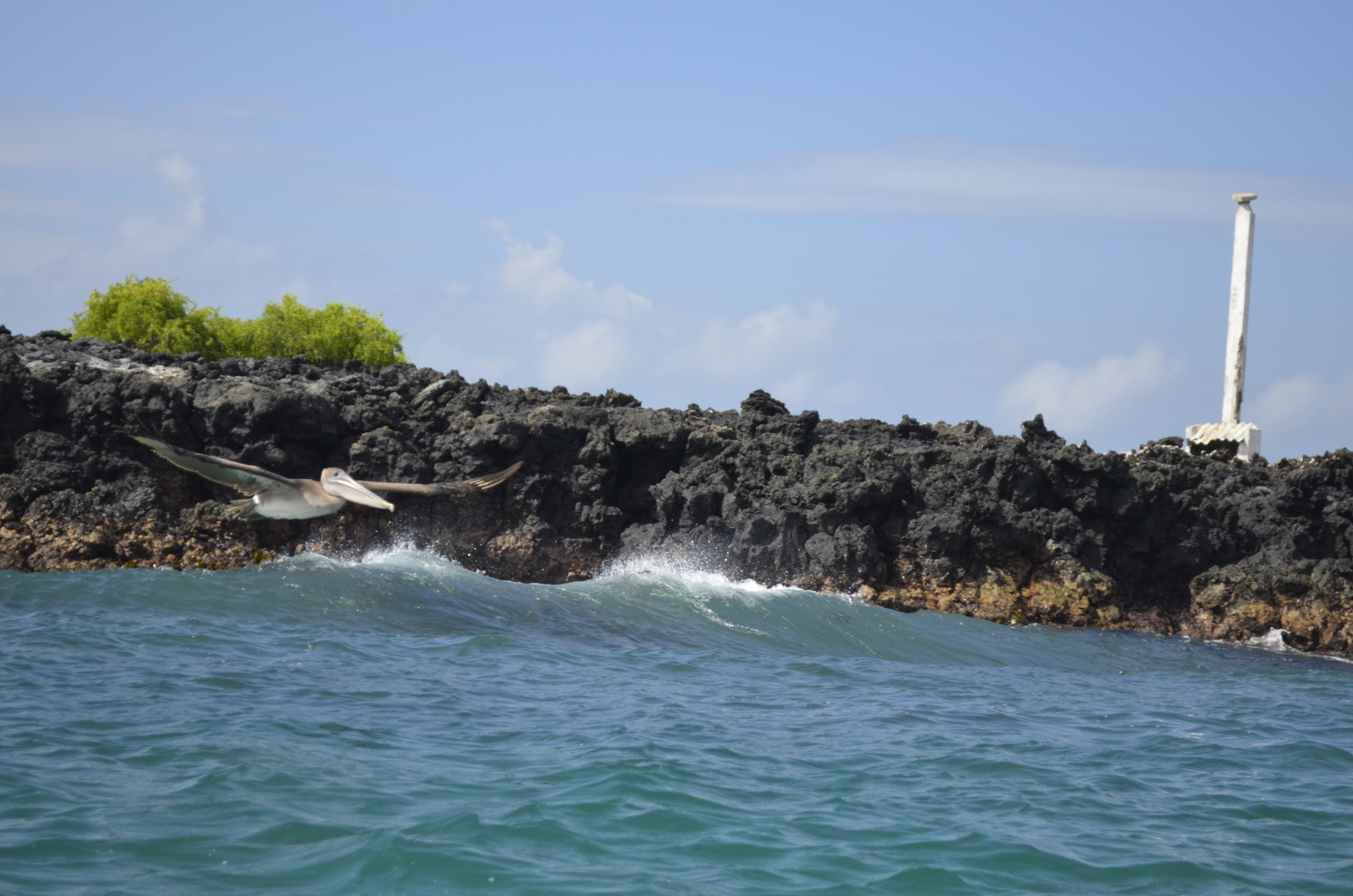 Galapagos 2017, Отчёт о путешествии на Галапагосские острова. Милок и Кирок это позитивные и реальные персоны из Люксембурга, много