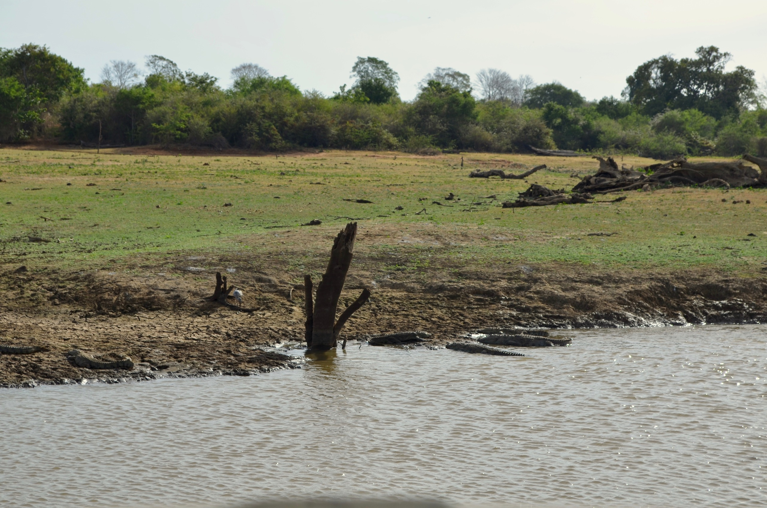 Шри-Ланка — Мальдивы. Mannequins, design, decoration, handmade, photographe…