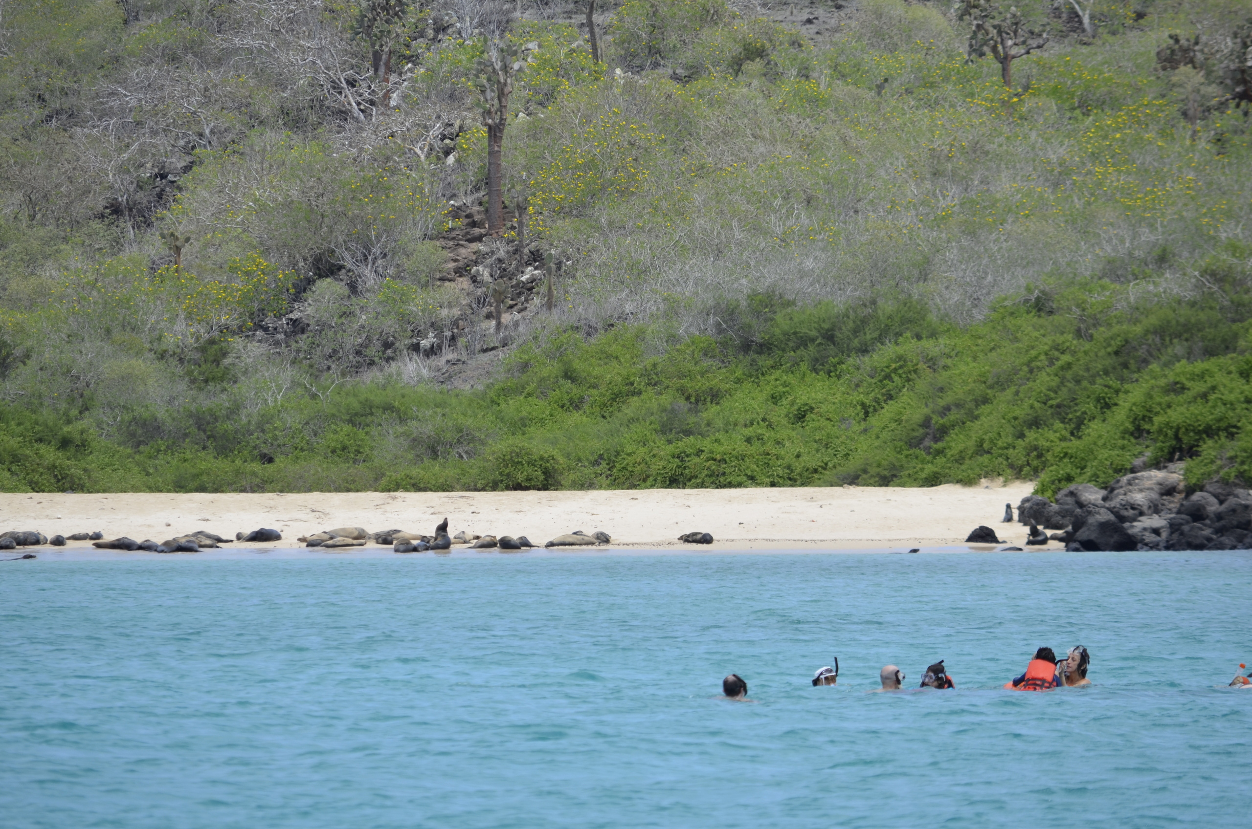 Galapagos 2017, Отчёт о путешествии на Галапагосские острова. Милок и Кирок это позитивные и реальные персоны из Люксембурга, много