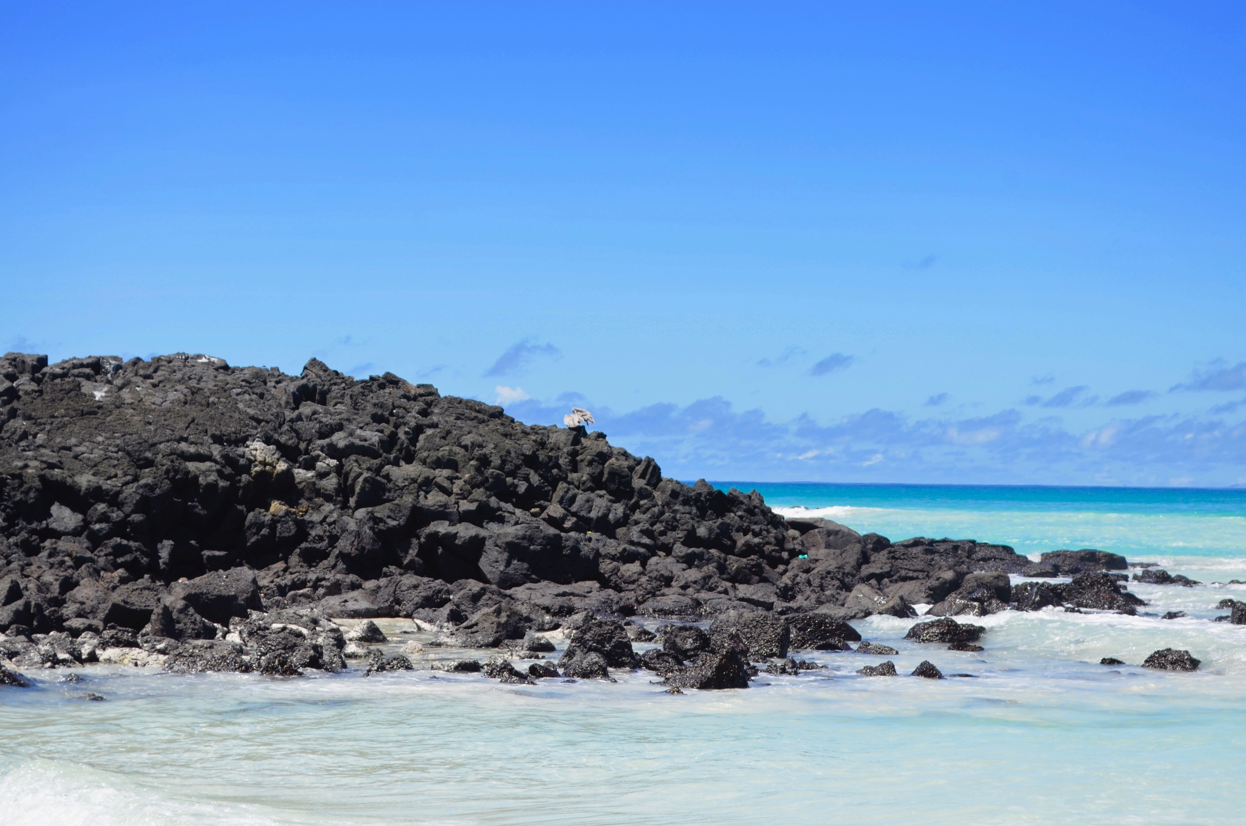 Galapagos 2017, Отчёт о путешествии на Галапагосские острова. Милок и Кирок это позитивные и реальные персоны из Люксембурга, много