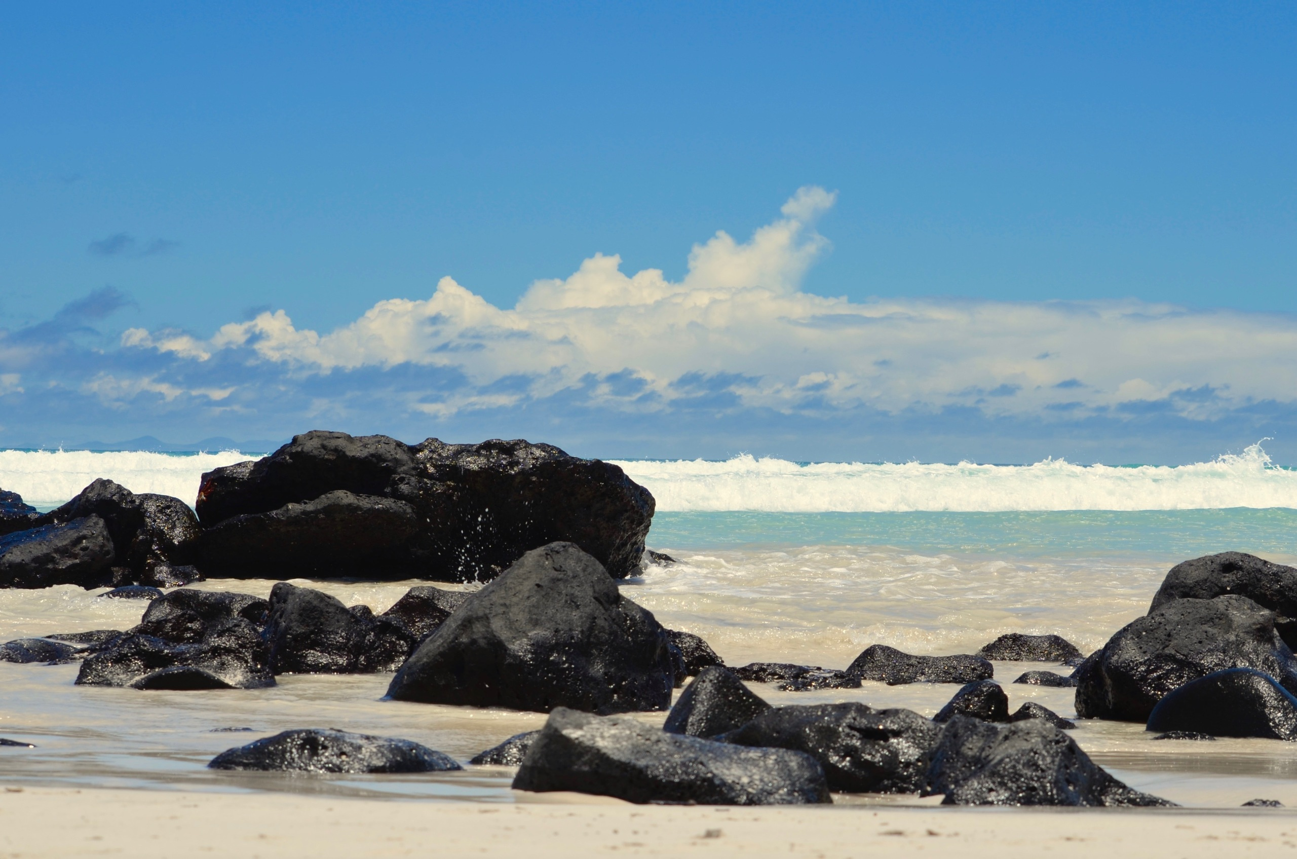 Galapagos 2017, Отчёт о путешествии на Галапагосские острова. Милок и Кирок это позитивные и реальные персоны из Люксембурга, много