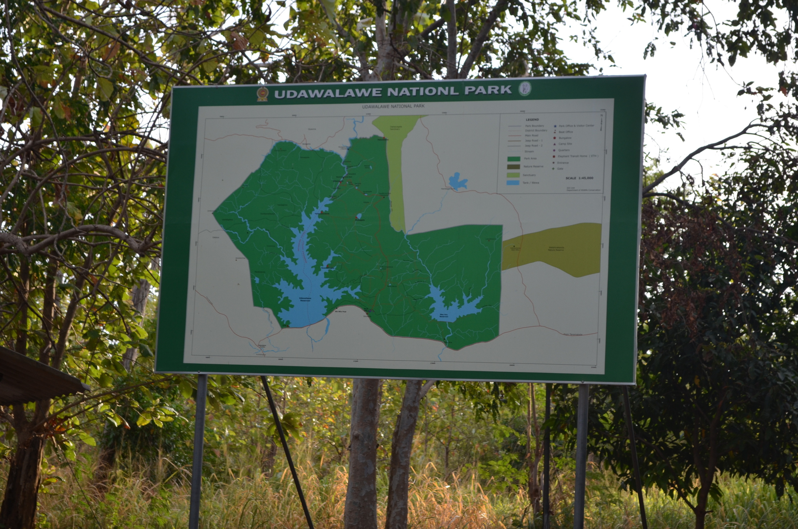 Шри-Ланка — Мальдивы. Mannequins, design, decoration, handmade, photographe…