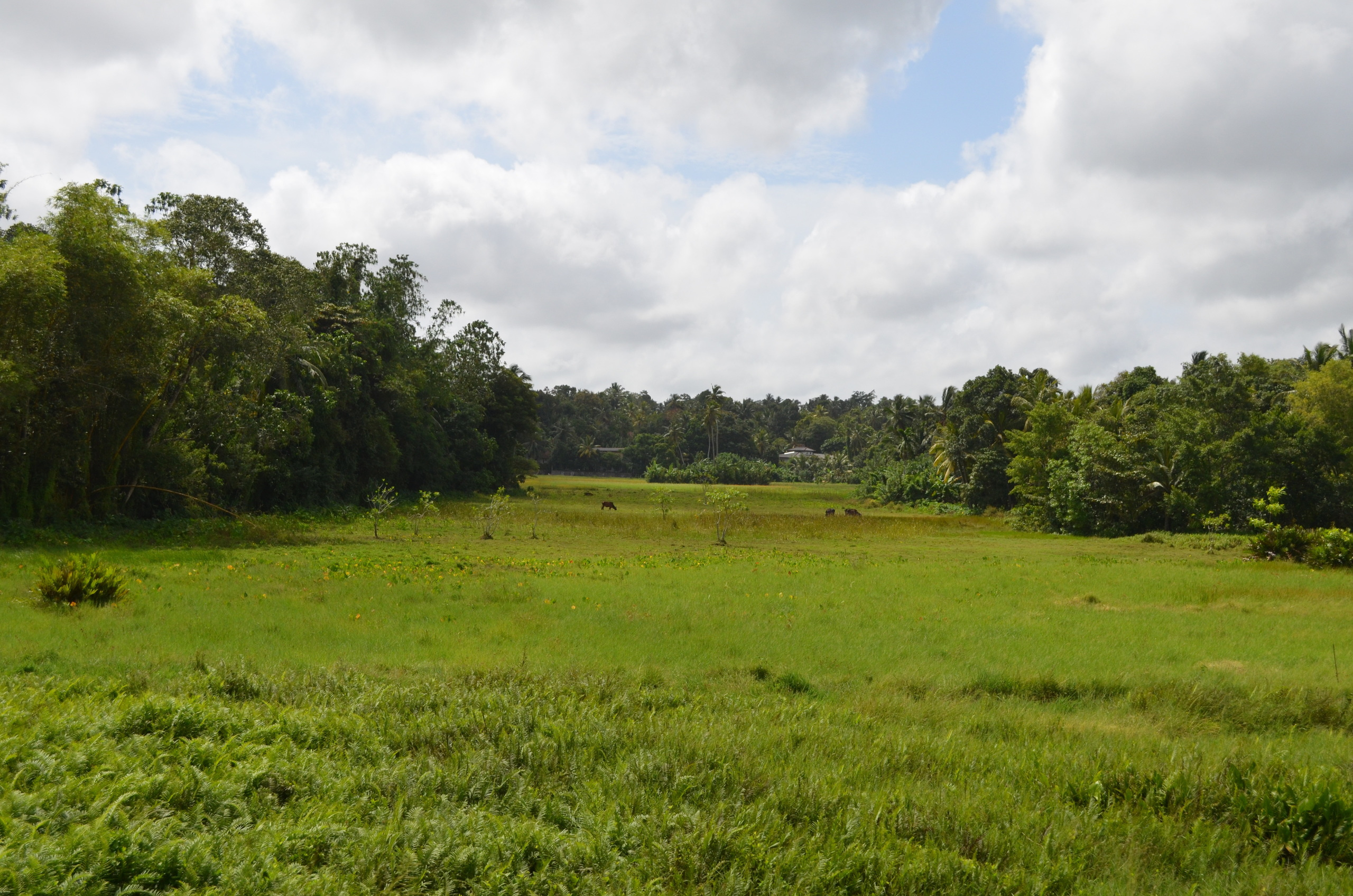 Шри-Ланка — Мальдивы. Mannequins, design, decoration, handmade, photographe…