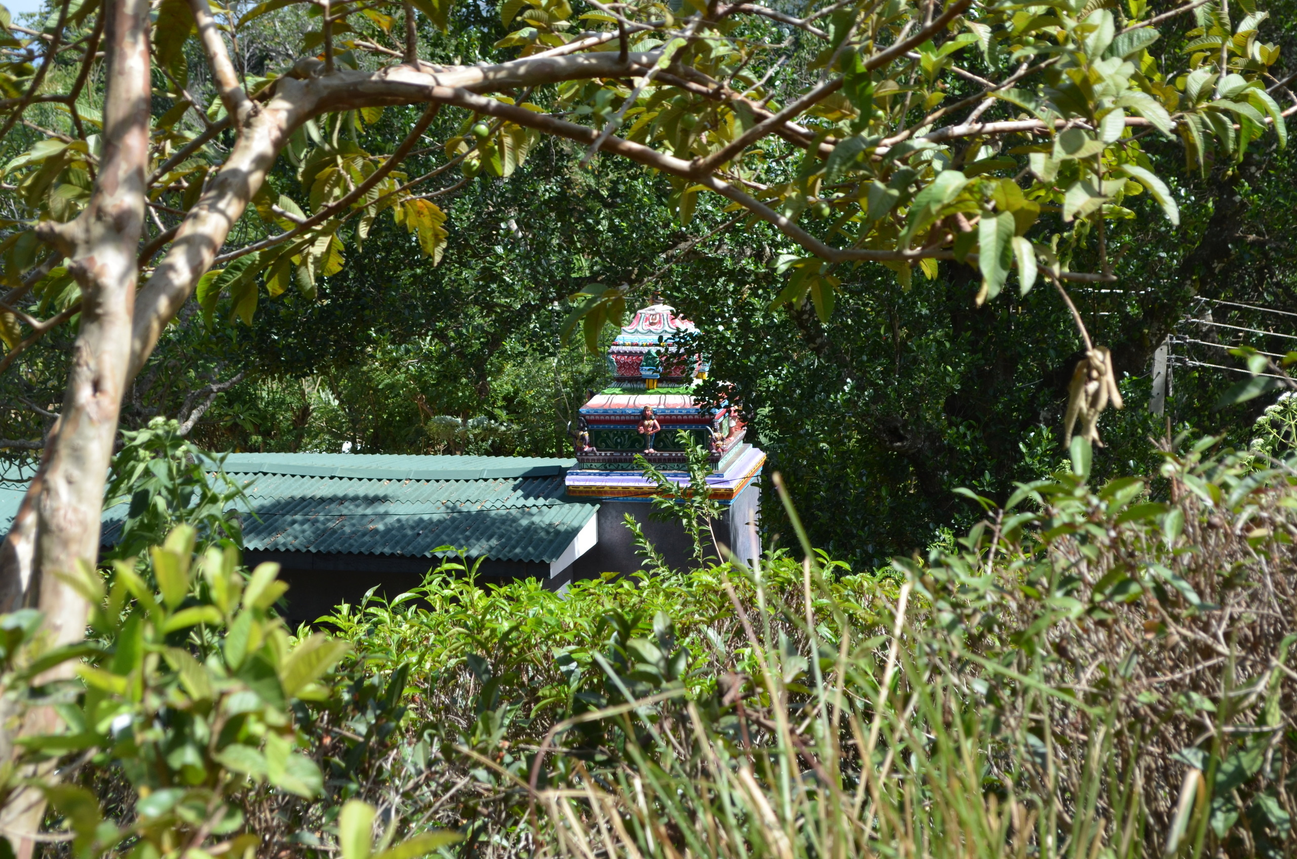 Шри-Ланка — Мальдивы. Mannequins, design, decoration, handmade, photographe…