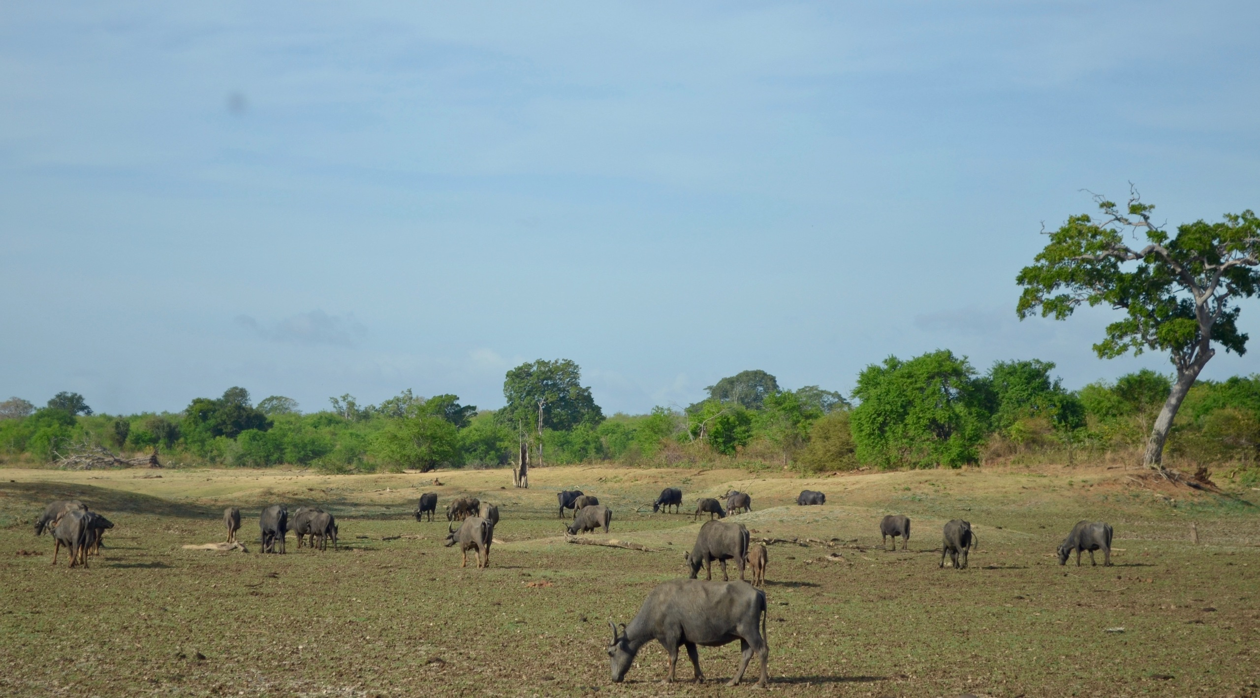 Шри-Ланка — Мальдивы. Mannequins, design, decoration, handmade, photographe…