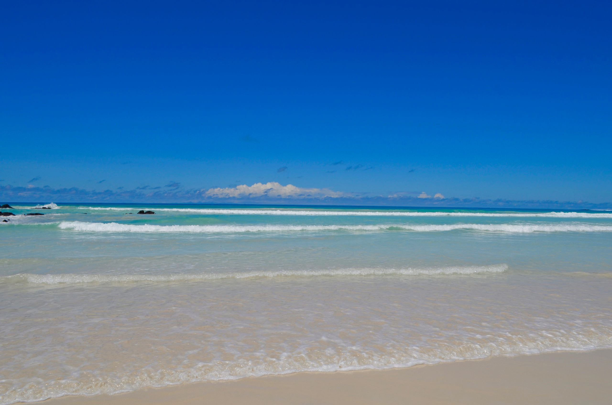 Galapagos 2017, Отчёт о путешествии на Галапагосские острова. Милок и Кирок это позитивные и реальные персоны из Люксембурга, много