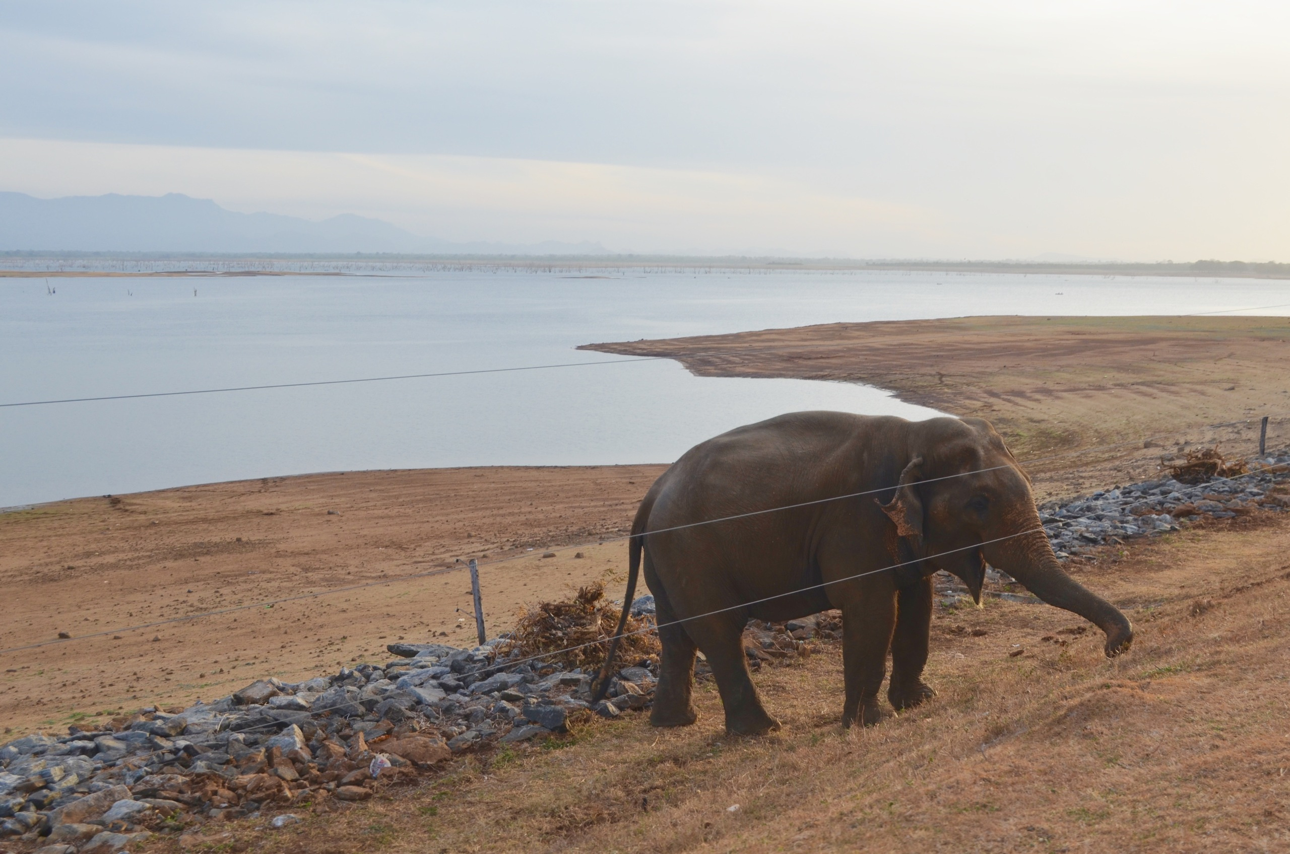 Шри-Ланка — Мальдивы. Mannequins, design, decoration, handmade, photographe…