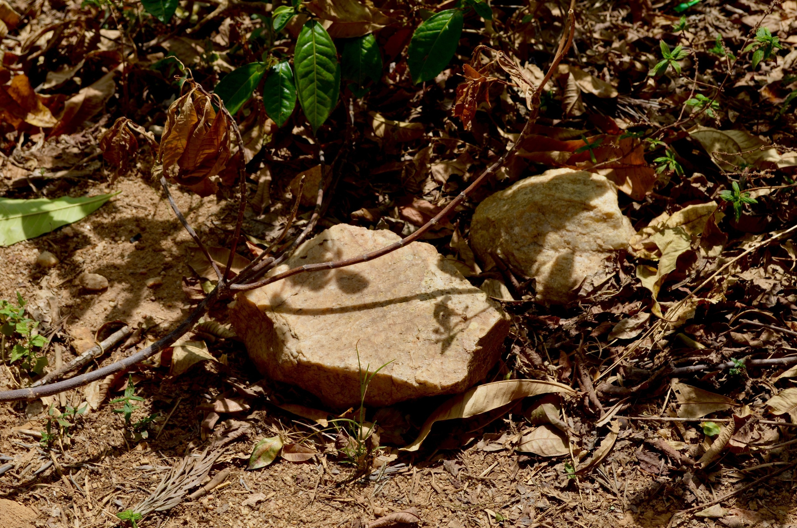 Шри-Ланка — Мальдивы. Mannequins, design, decoration, handmade, photographe…