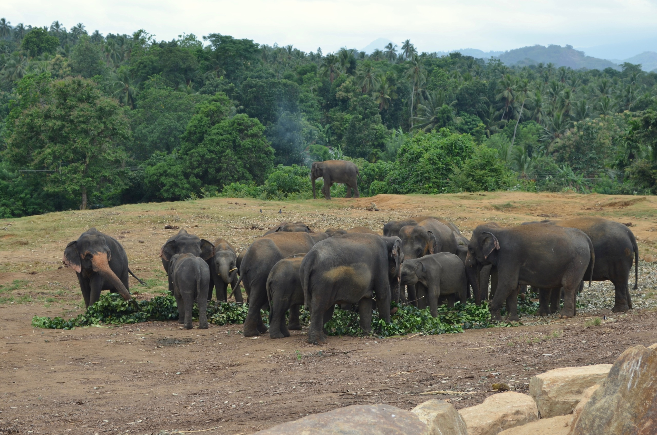 Шри-Ланка — Мальдивы. Mannequins, design, decoration, handmade, photographe…
