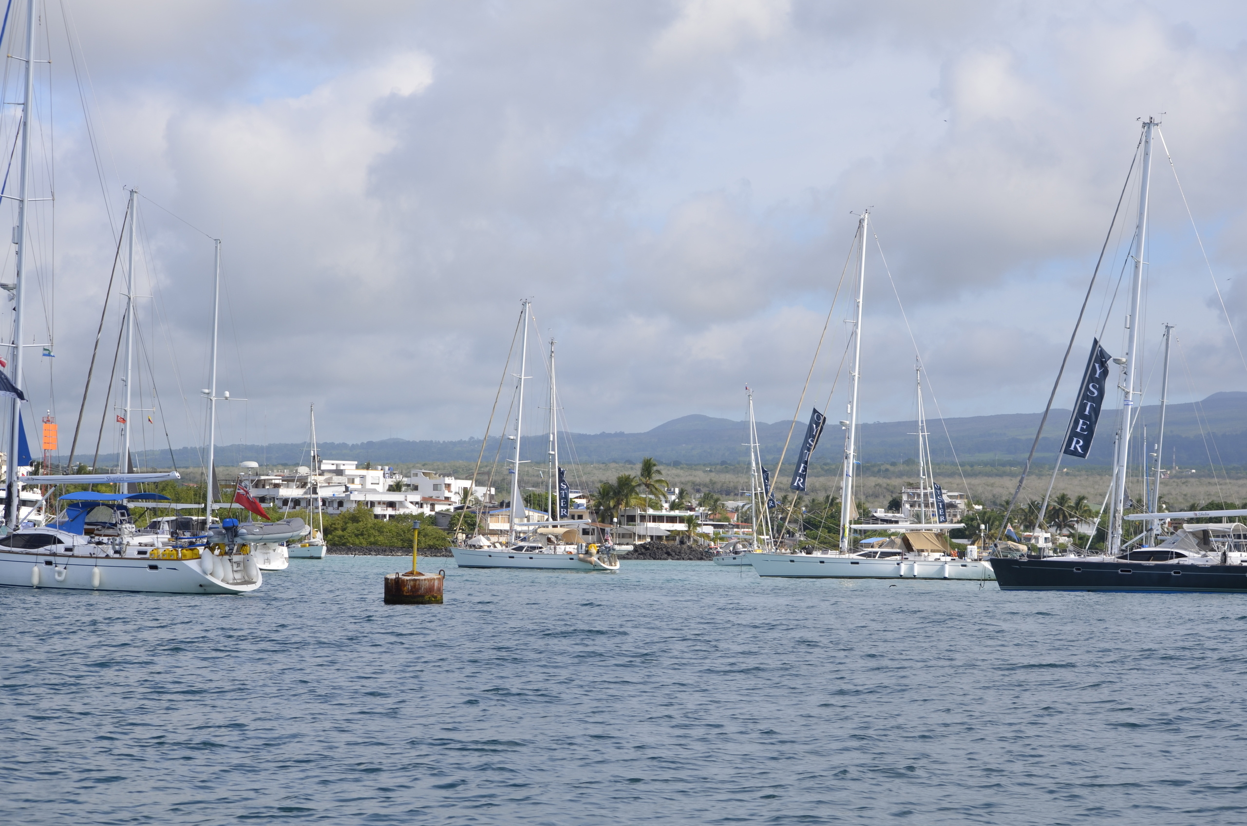 Galapagos 2017, Отчёт о путешествии на Галапагосские острова. Милок и Кирок это позитивные и реальные персоны из Люксембурга, много