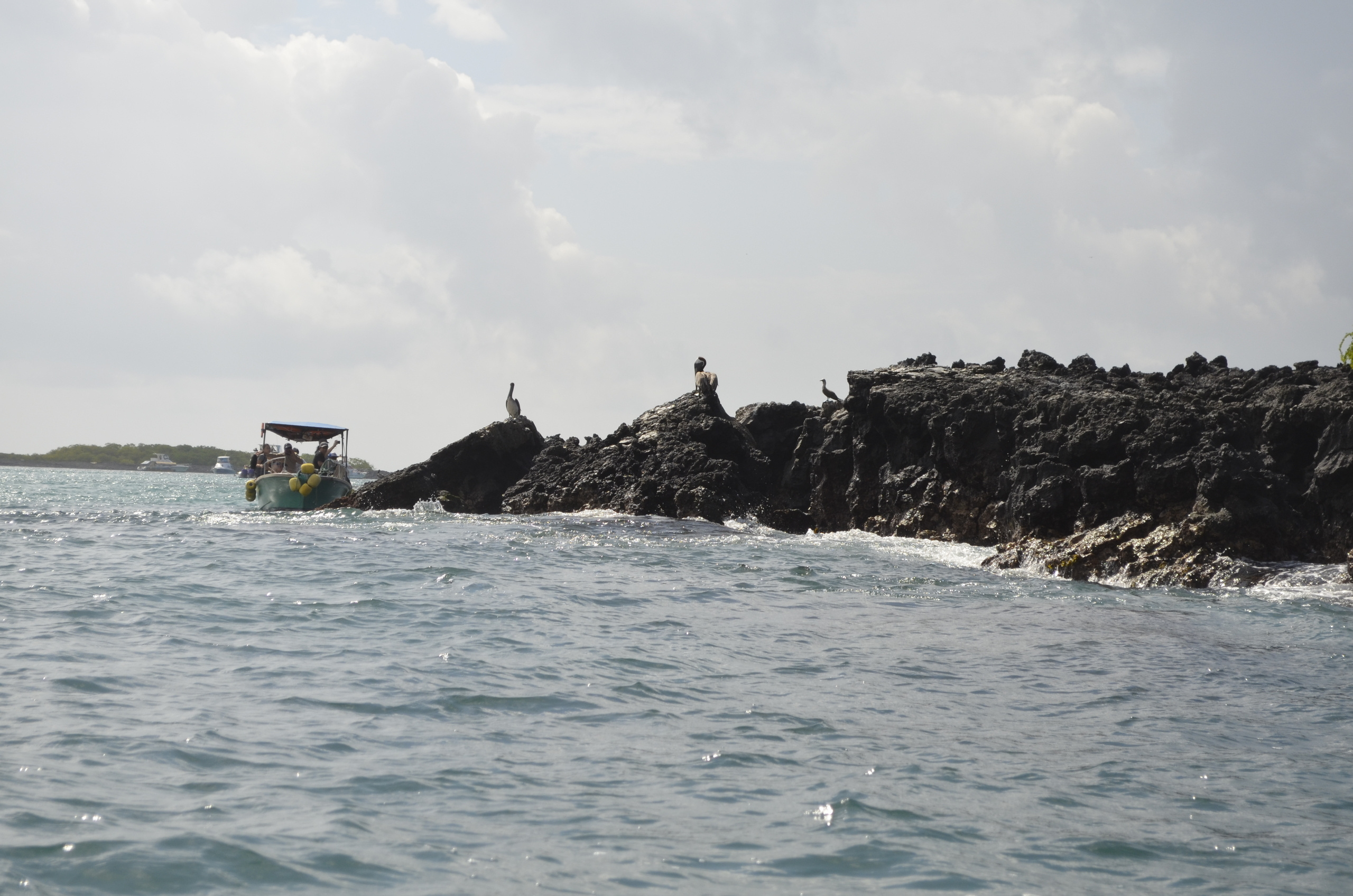 Galapagos 2017, Отчёт о путешествии на Галапагосские острова. Милок и Кирок это позитивные и реальные персоны из Люксембурга, много