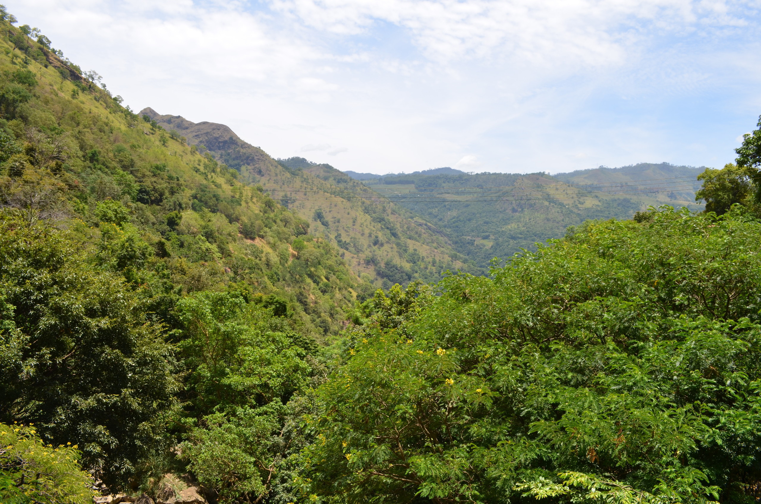Шри-Ланка — Мальдивы. Mannequins, design, decoration, handmade, photographe…