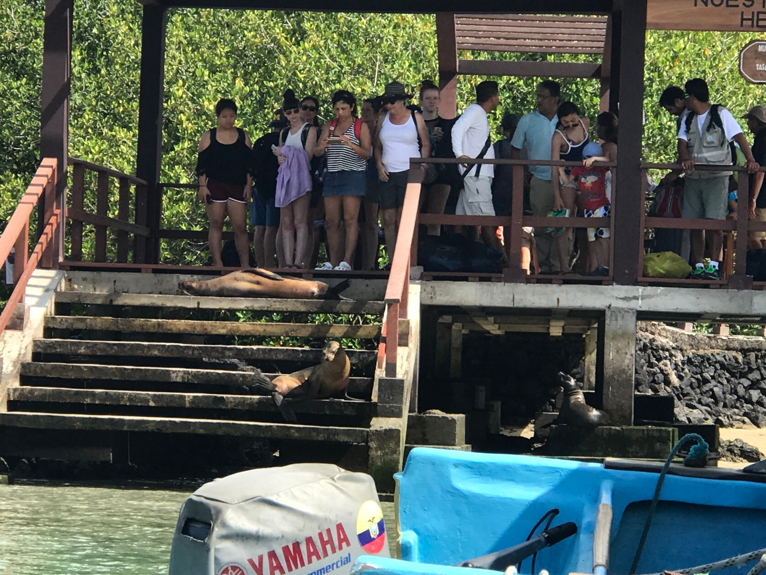 Galapagos 2017, Отчёт о путешествии на Галапагосские острова. Милок и Кирок это позитивные и реальные персоны из Люксембурга, много