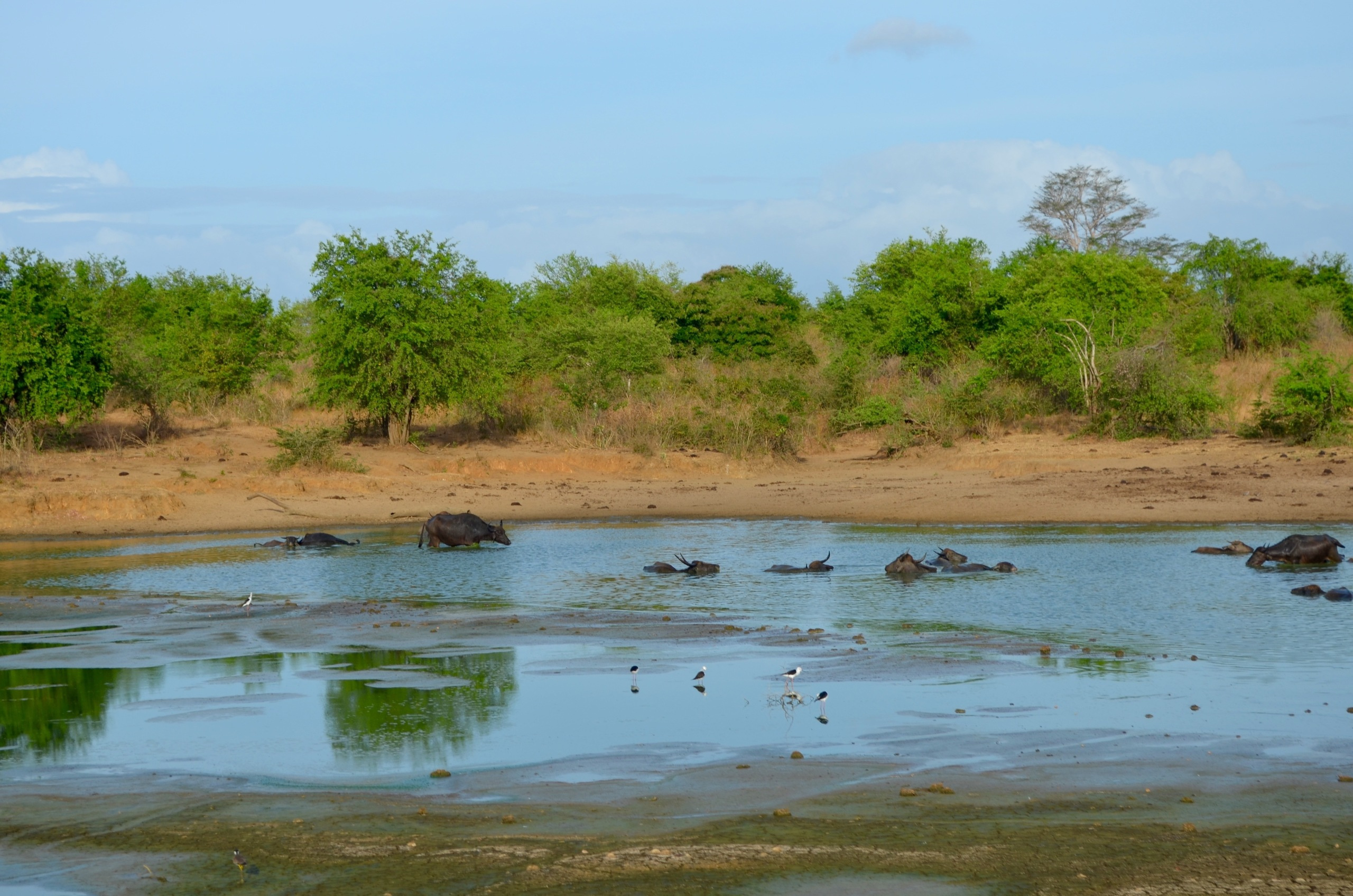 Шри-Ланка — Мальдивы. Mannequins, design, decoration, handmade, photographe…