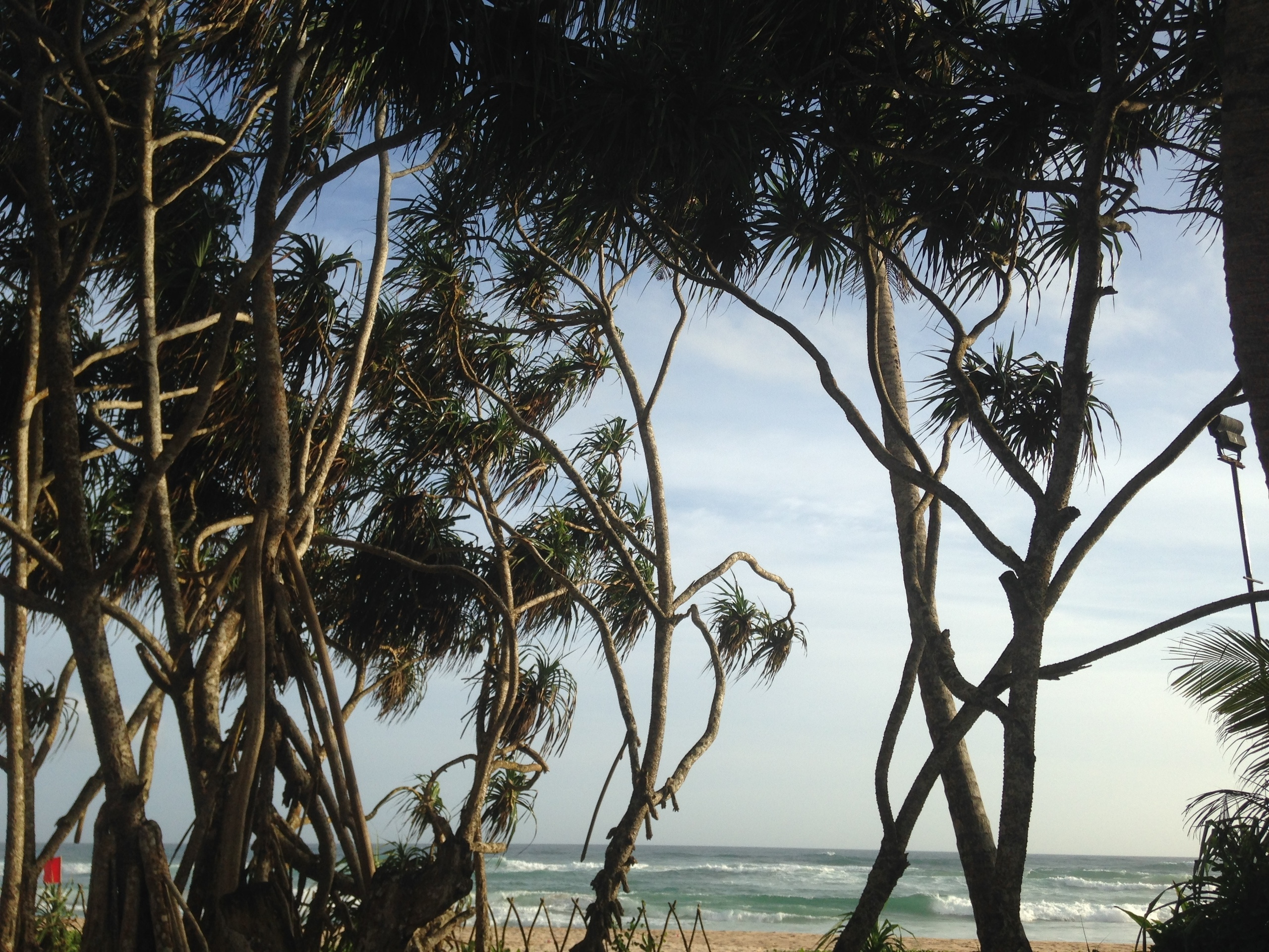 Шри-Ланка — Мальдивы. Mannequins, design, decoration, handmade, photographe…