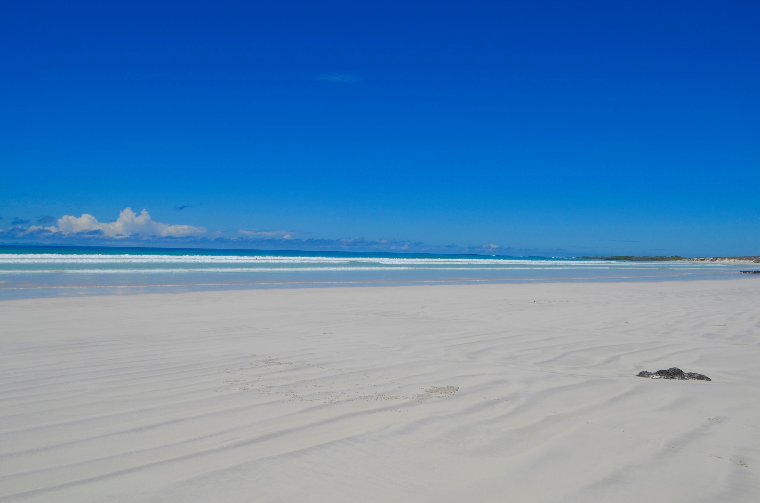 Galapagos 2017, Отчёт о путешествии на Галапагосские острова. Милок и Кирок это позитивные и реальные персоны из Люксембурга, много