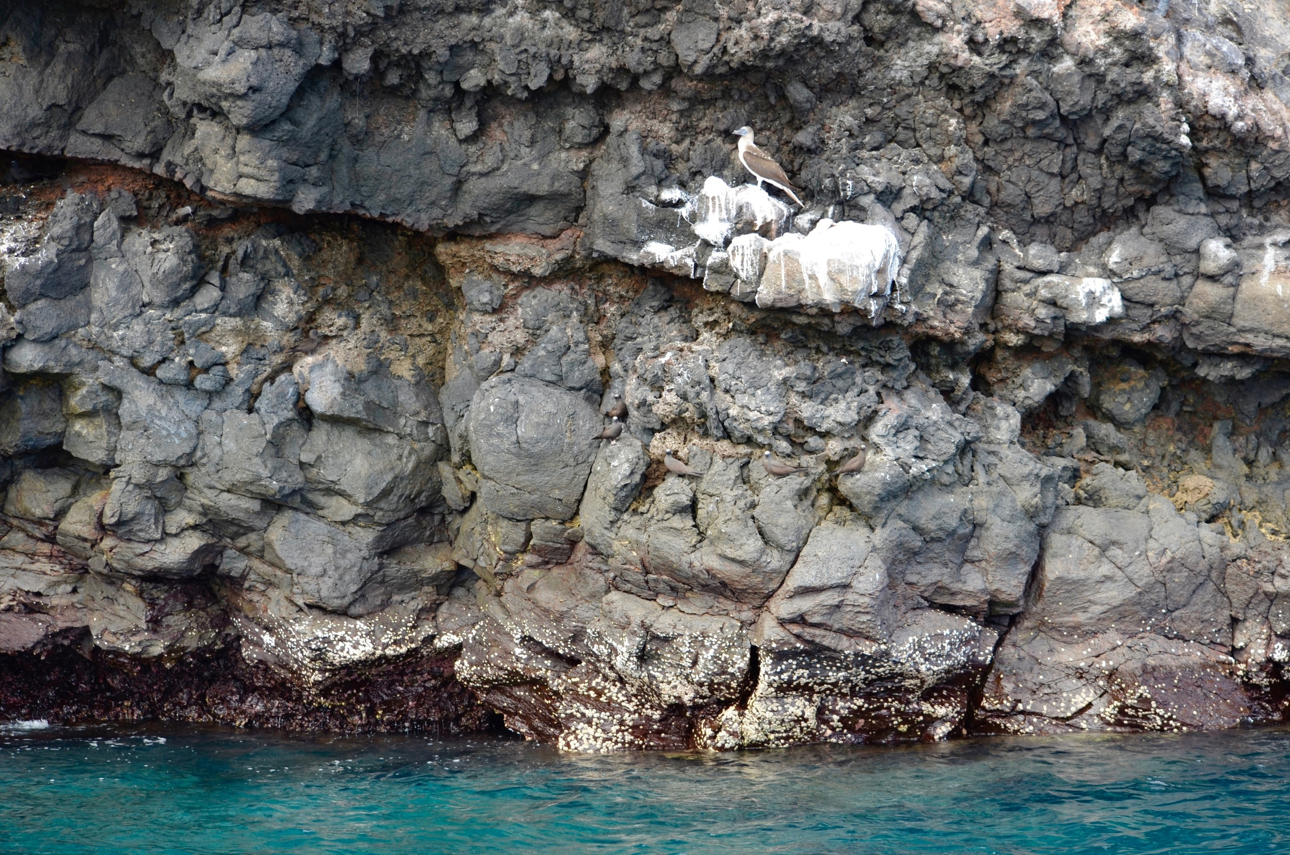 Galapagos 2017, Отчёт о путешествии на Галапагосские острова. Милок и Кирок это позитивные и реальные персоны из Люксембурга, много