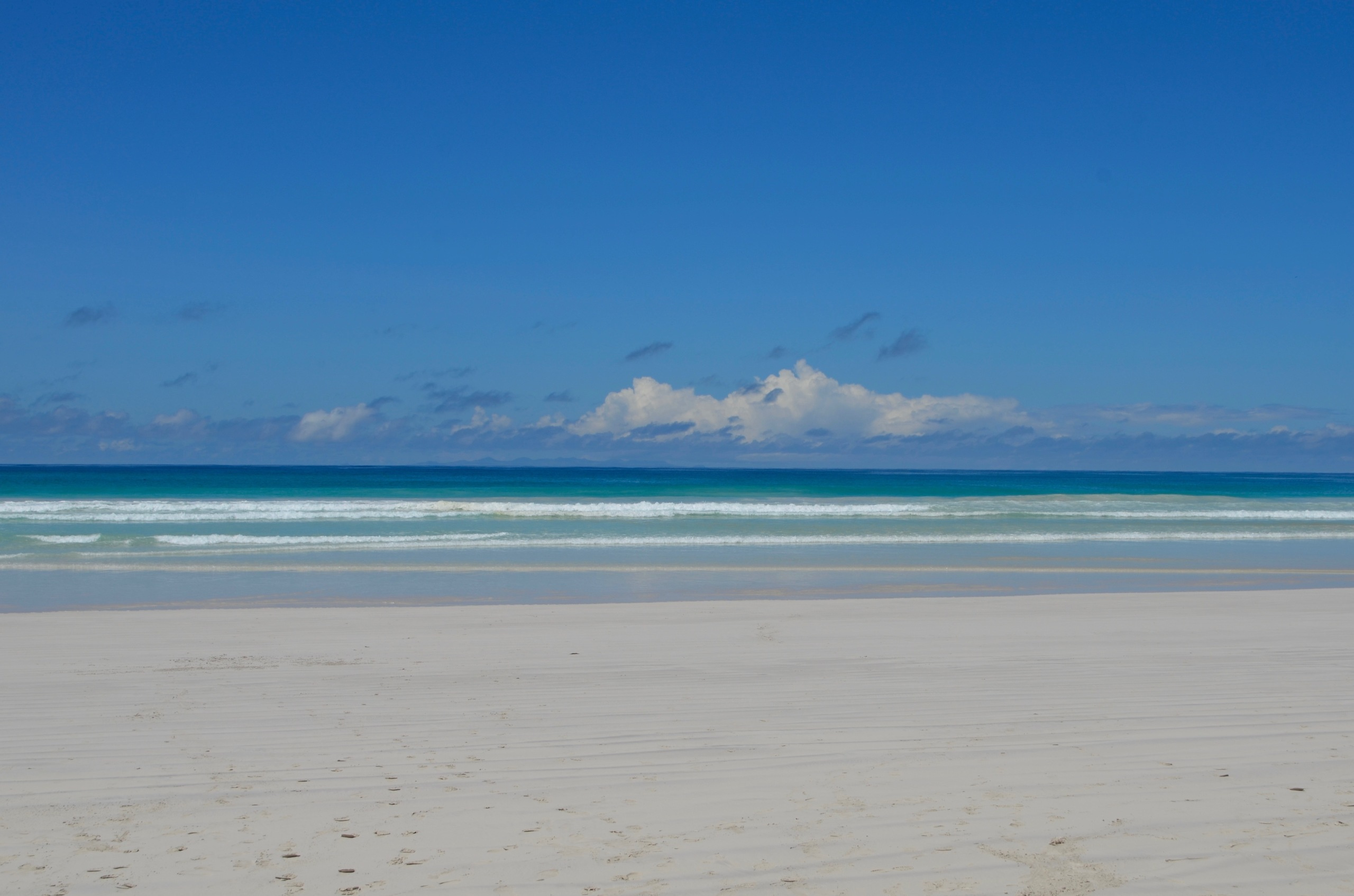 Galapagos 2017, Отчёт о путешествии на Галапагосские острова. Милок и Кирок это позитивные и реальные персоны из Люксембурга, много