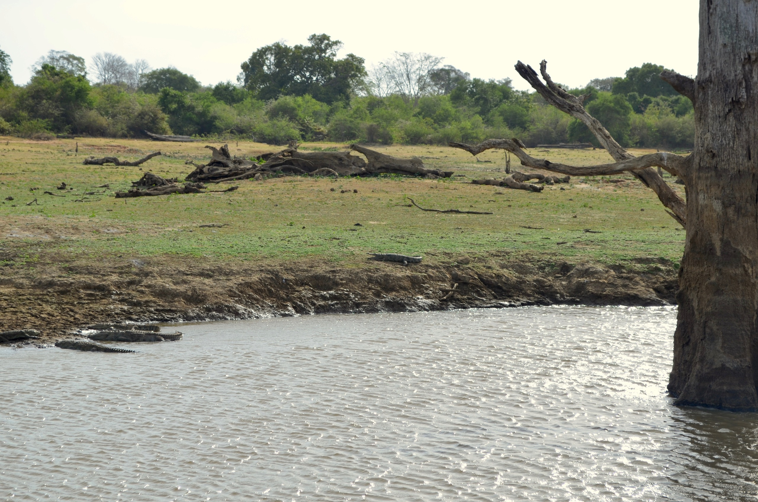 Шри-Ланка — Мальдивы. Mannequins, design, decoration, handmade, photographe…